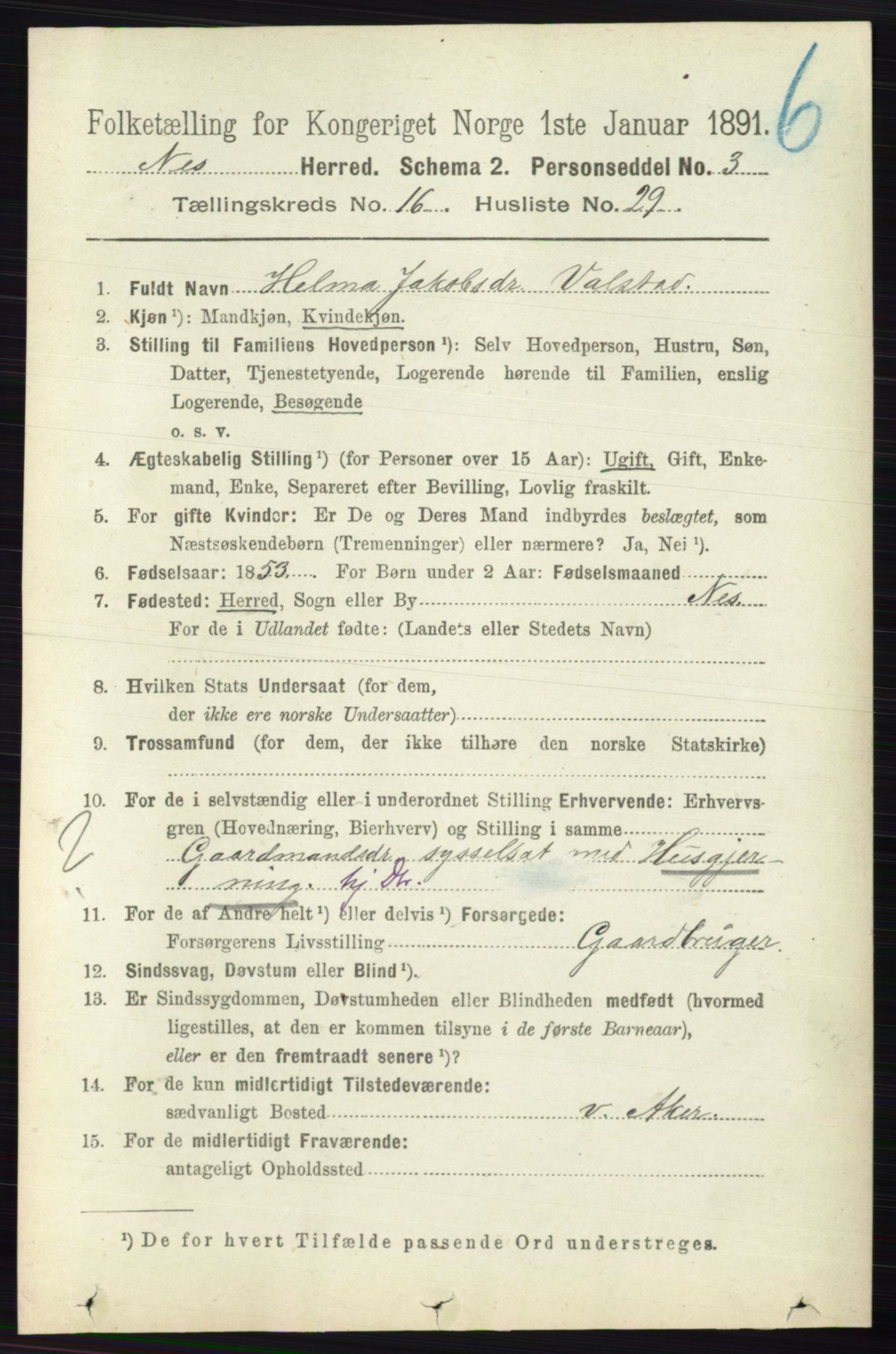 RA, 1891 census for 0236 Nes, 1891, p. 9733