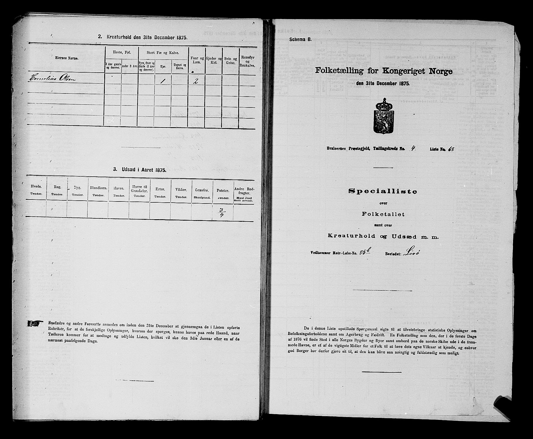 RA, 1875 census for 0111P Hvaler, 1875, p. 712