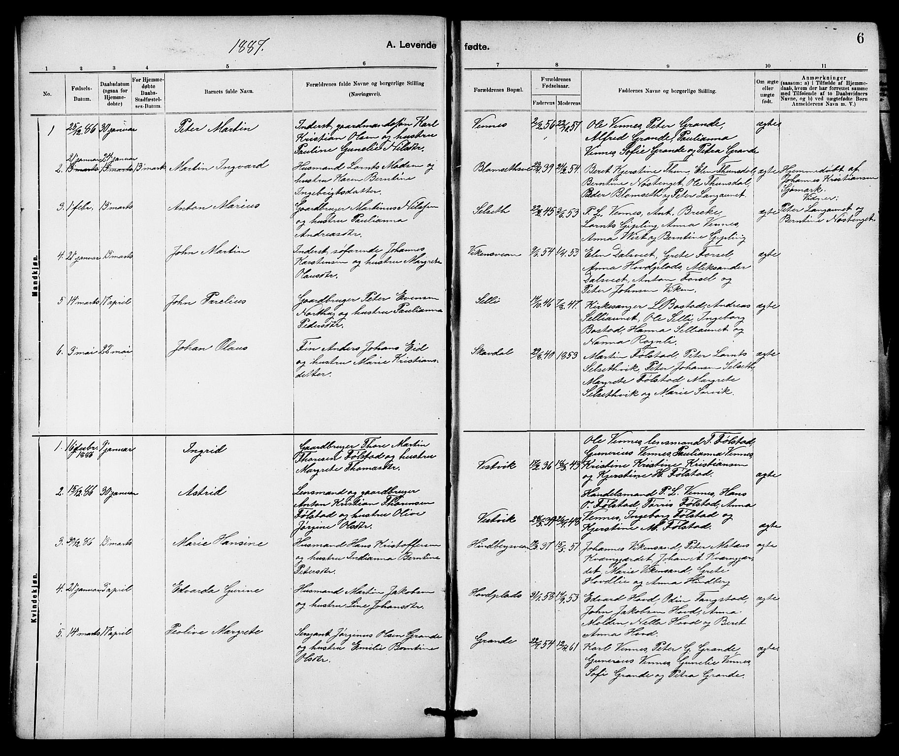 Ministerialprotokoller, klokkerbøker og fødselsregistre - Nord-Trøndelag, AV/SAT-A-1458/744/L0423: Parish register (copy) no. 744C02, 1886-1905, p. 6