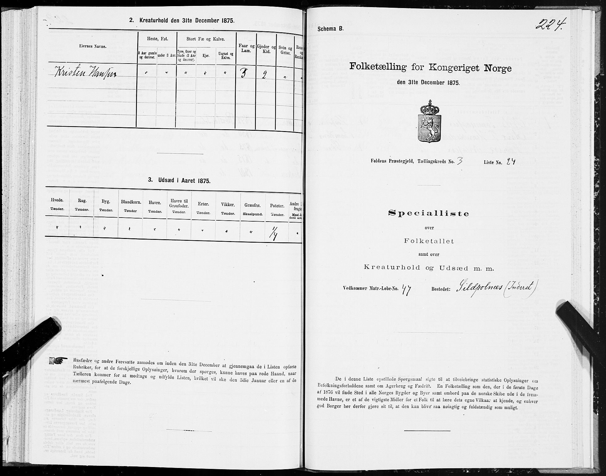 SAT, 1875 census for 1845P Folda, 1875, p. 1224