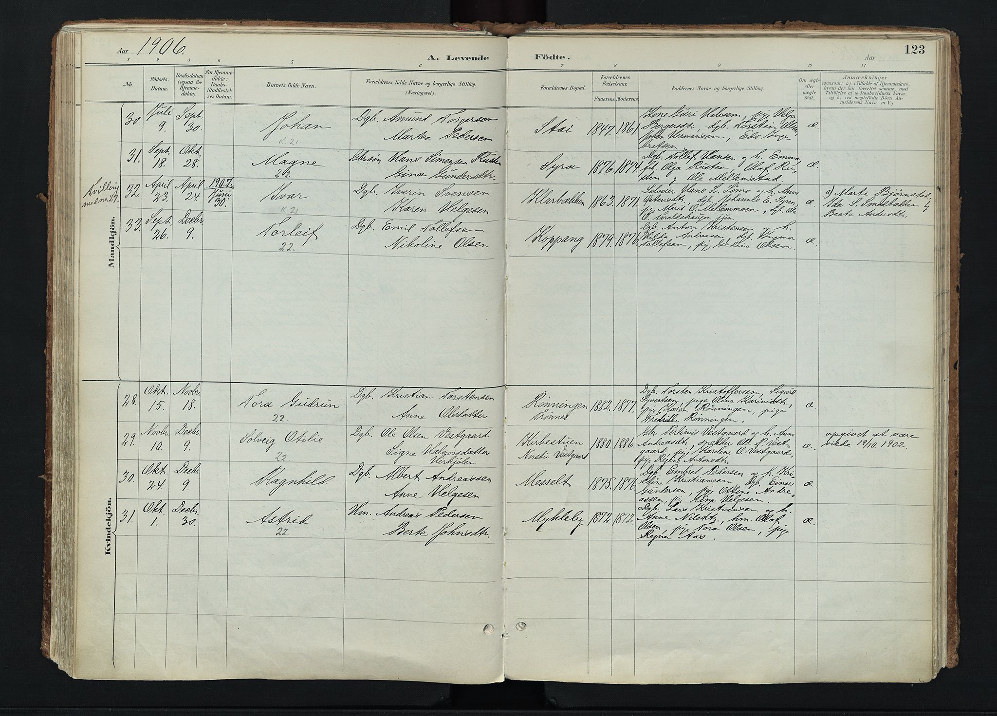 Stor-Elvdal prestekontor, SAH/PREST-052/H/Ha/Haa/L0004: Parish register (official) no. 4, 1890-1922, p. 123