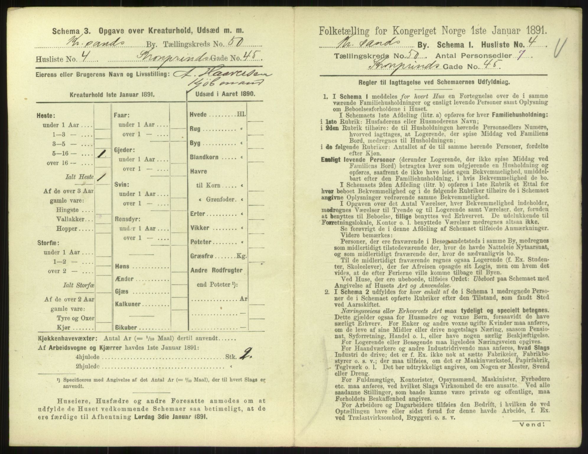 RA, 1891 census for 1001 Kristiansand, 1891, p. 2662