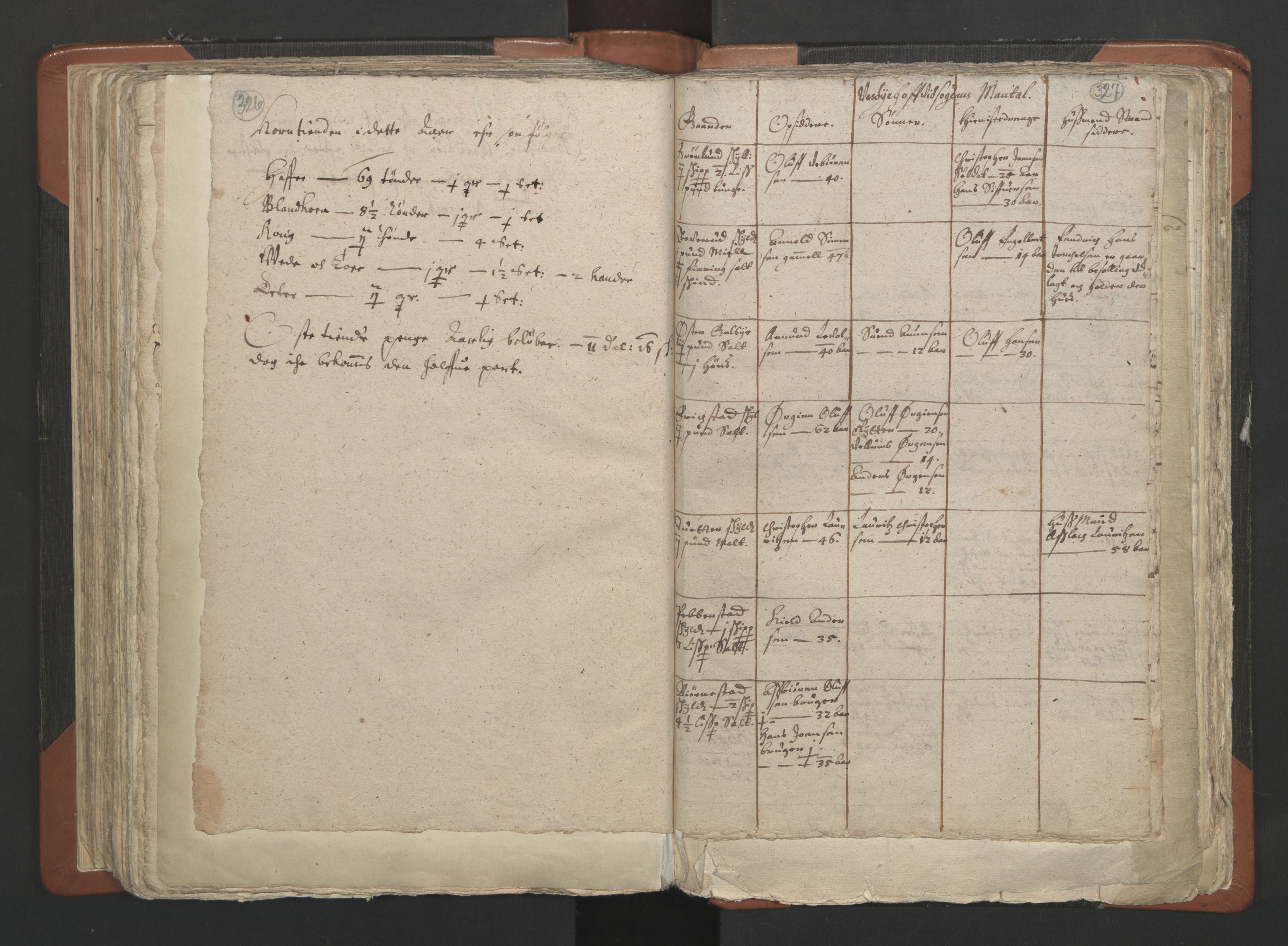 RA, Vicar's Census 1664-1666, no. 2: Øvre Borgesyssel deanery, 1664-1666, p. 326-327