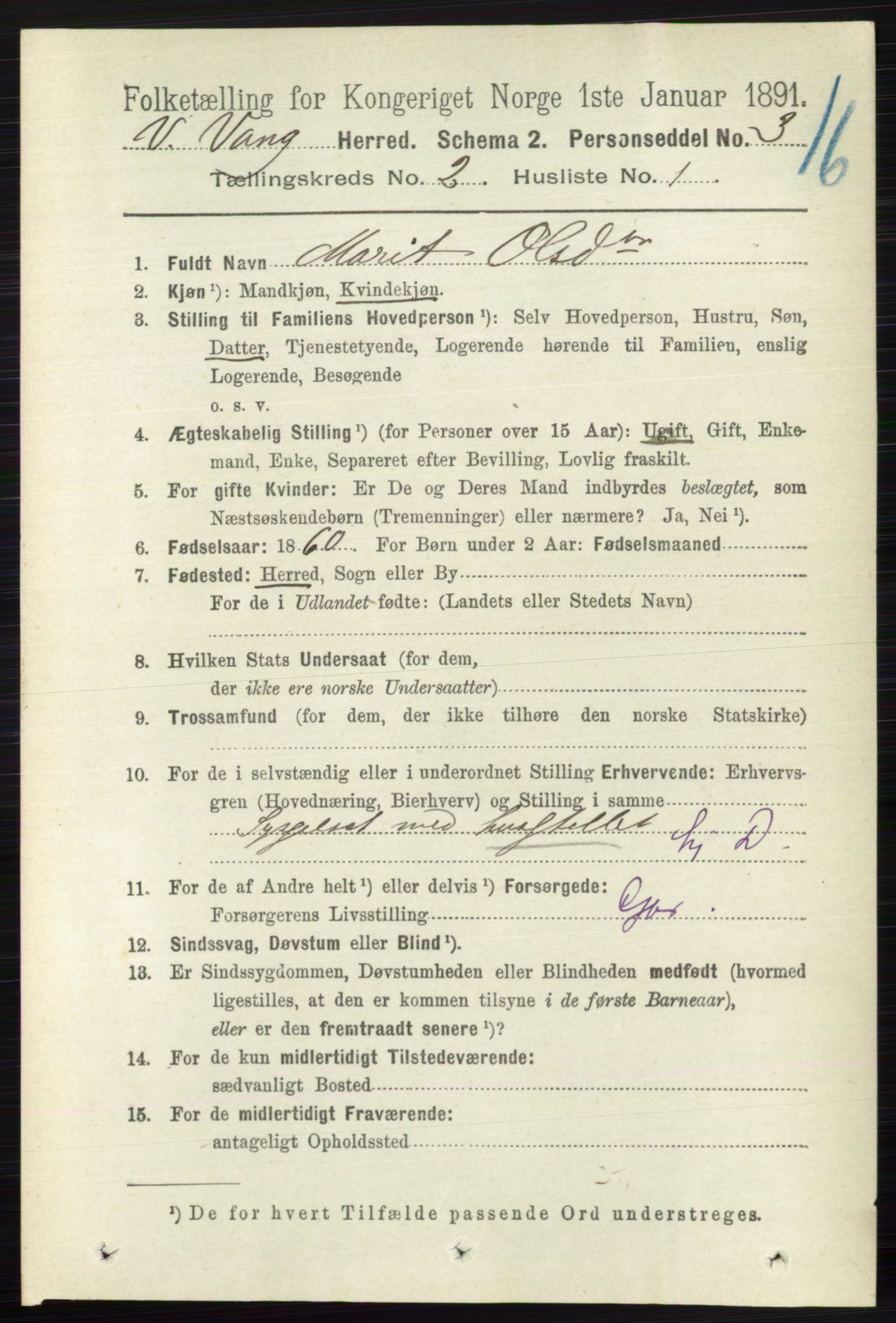 RA, 1891 census for 0545 Vang, 1891, p. 396