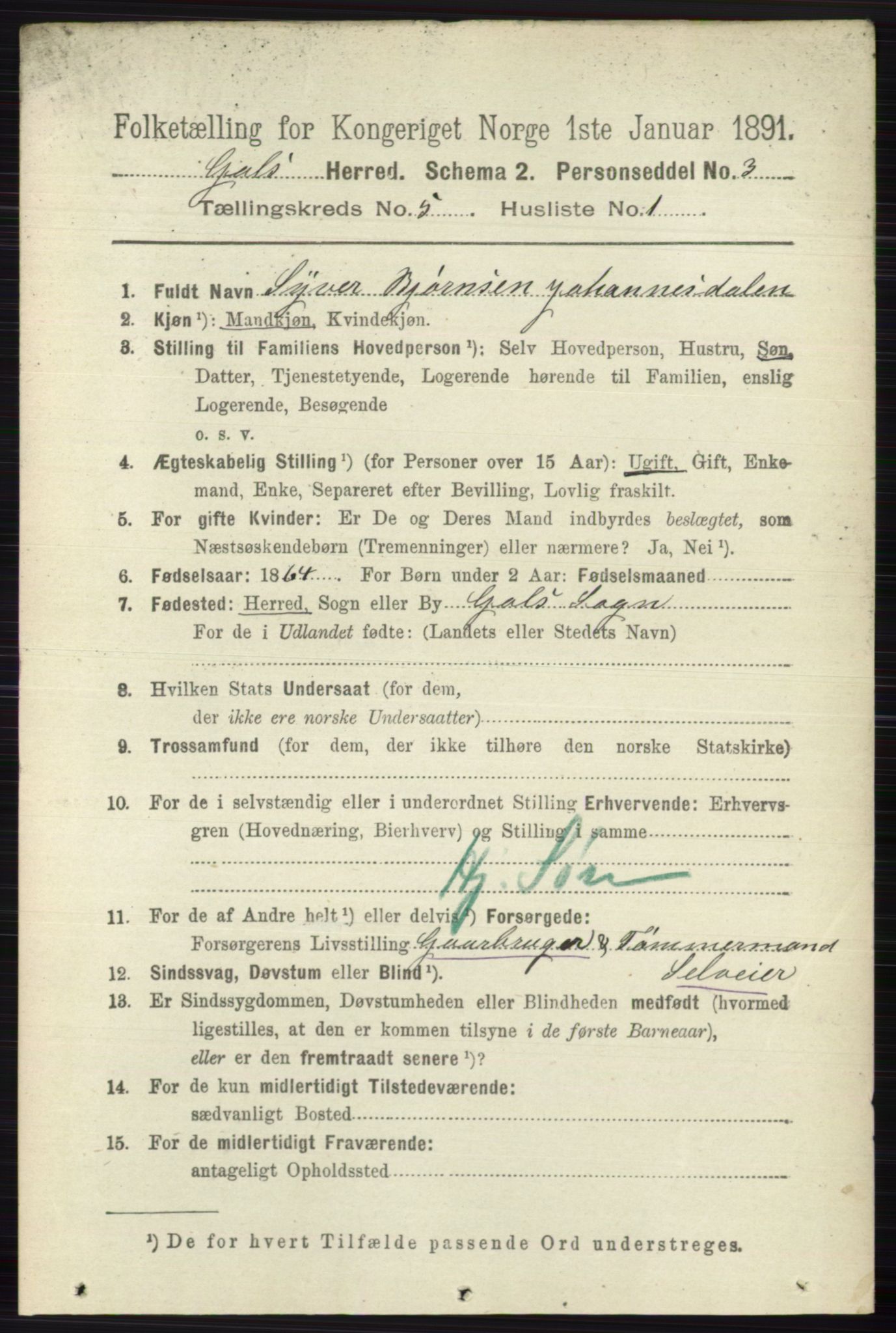 RA, 1891 census for 0617 Gol og Hemsedal, 1891, p. 2307