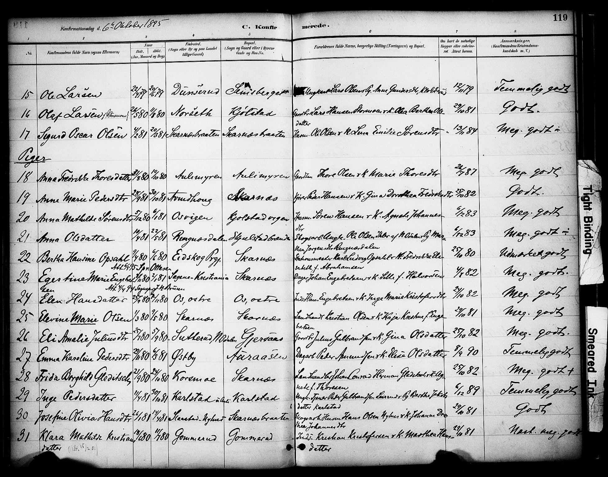 Sør-Odal prestekontor, AV/SAH-PREST-030/H/Ha/Haa/L0009: Parish register (official) no. 9, 1886-1926, p. 119