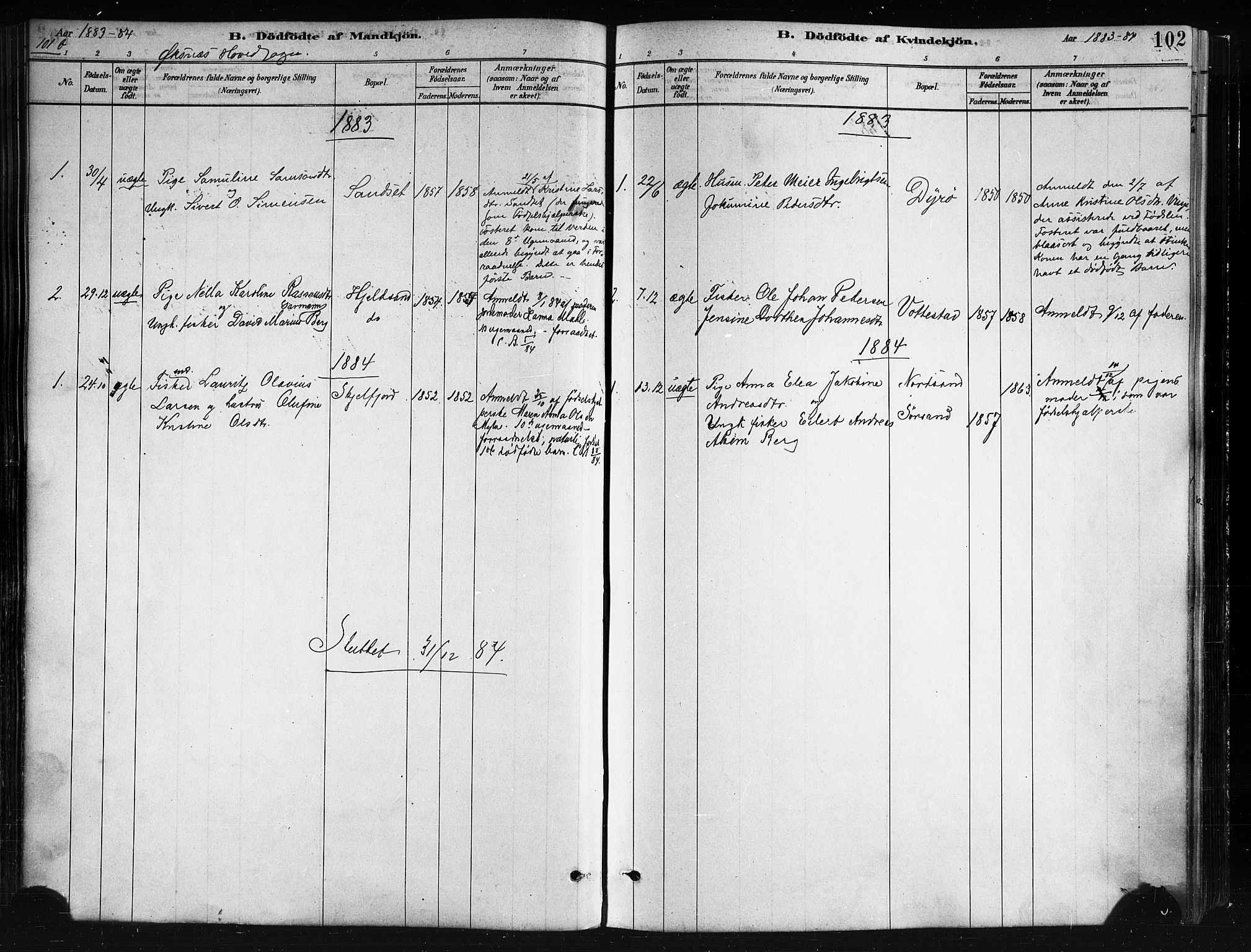 Ministerialprotokoller, klokkerbøker og fødselsregistre - Nordland, AV/SAT-A-1459/893/L1335: Parish register (official) no. 893A08 /1, 1878-1884, p. 102