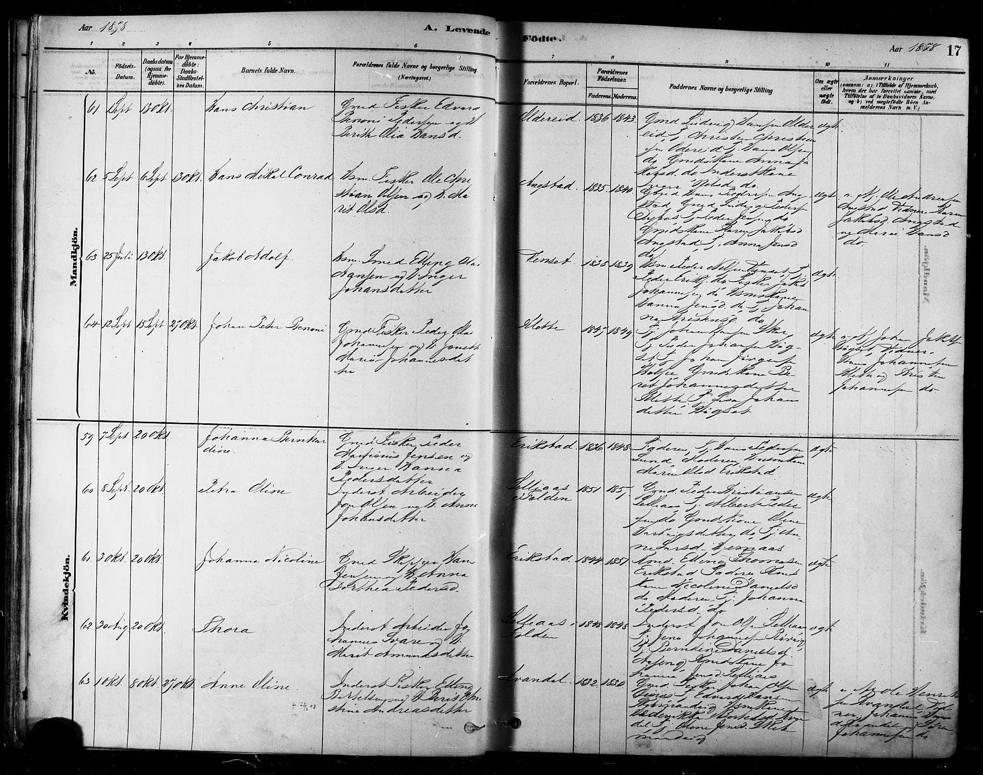 Ministerialprotokoller, klokkerbøker og fødselsregistre - Nordland, AV/SAT-A-1459/852/L0740: Parish register (official) no. 852A10, 1878-1894, p. 17