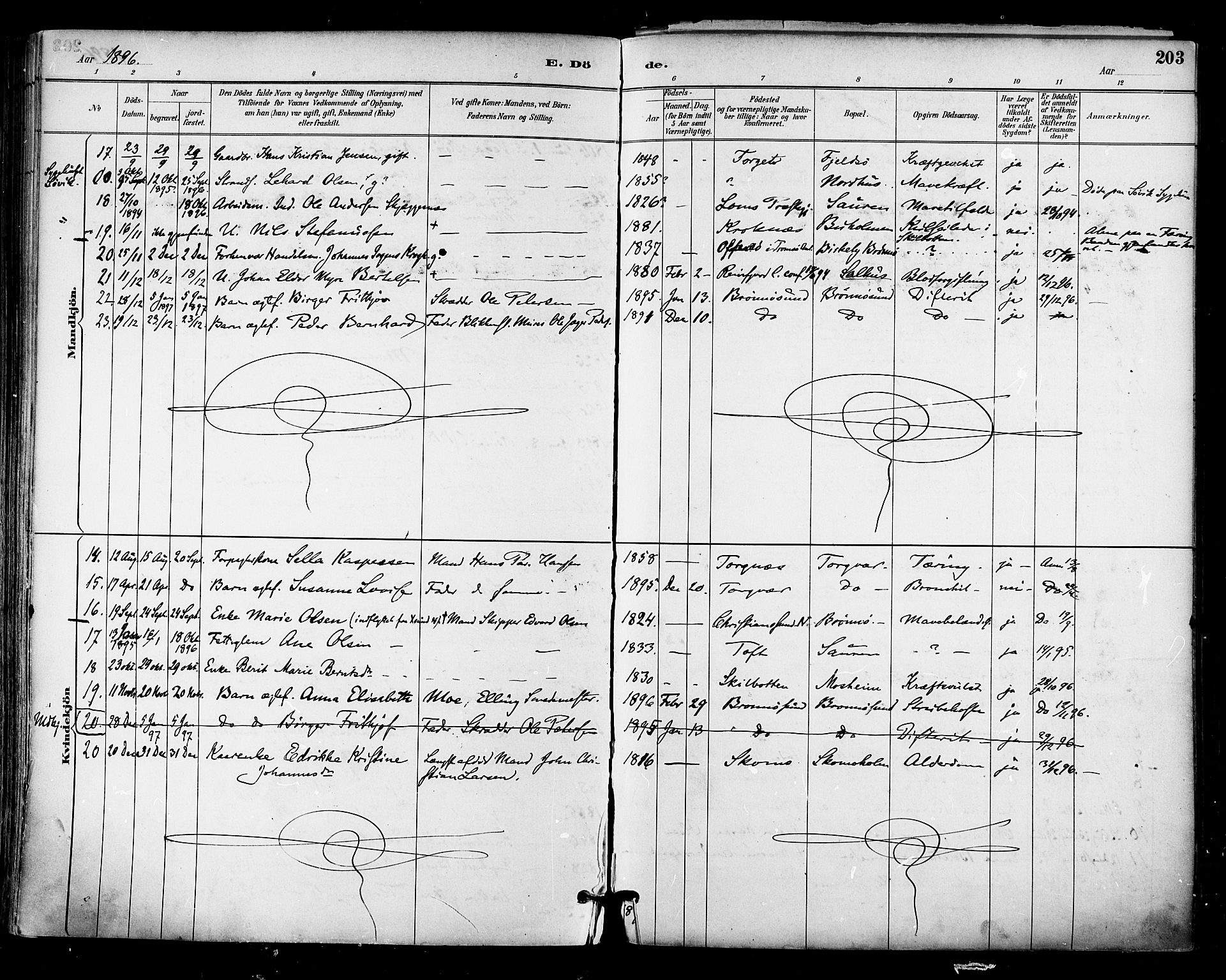 Ministerialprotokoller, klokkerbøker og fødselsregistre - Nordland, AV/SAT-A-1459/813/L0200: Parish register (official) no. 813A10, 1886-1900, p. 203