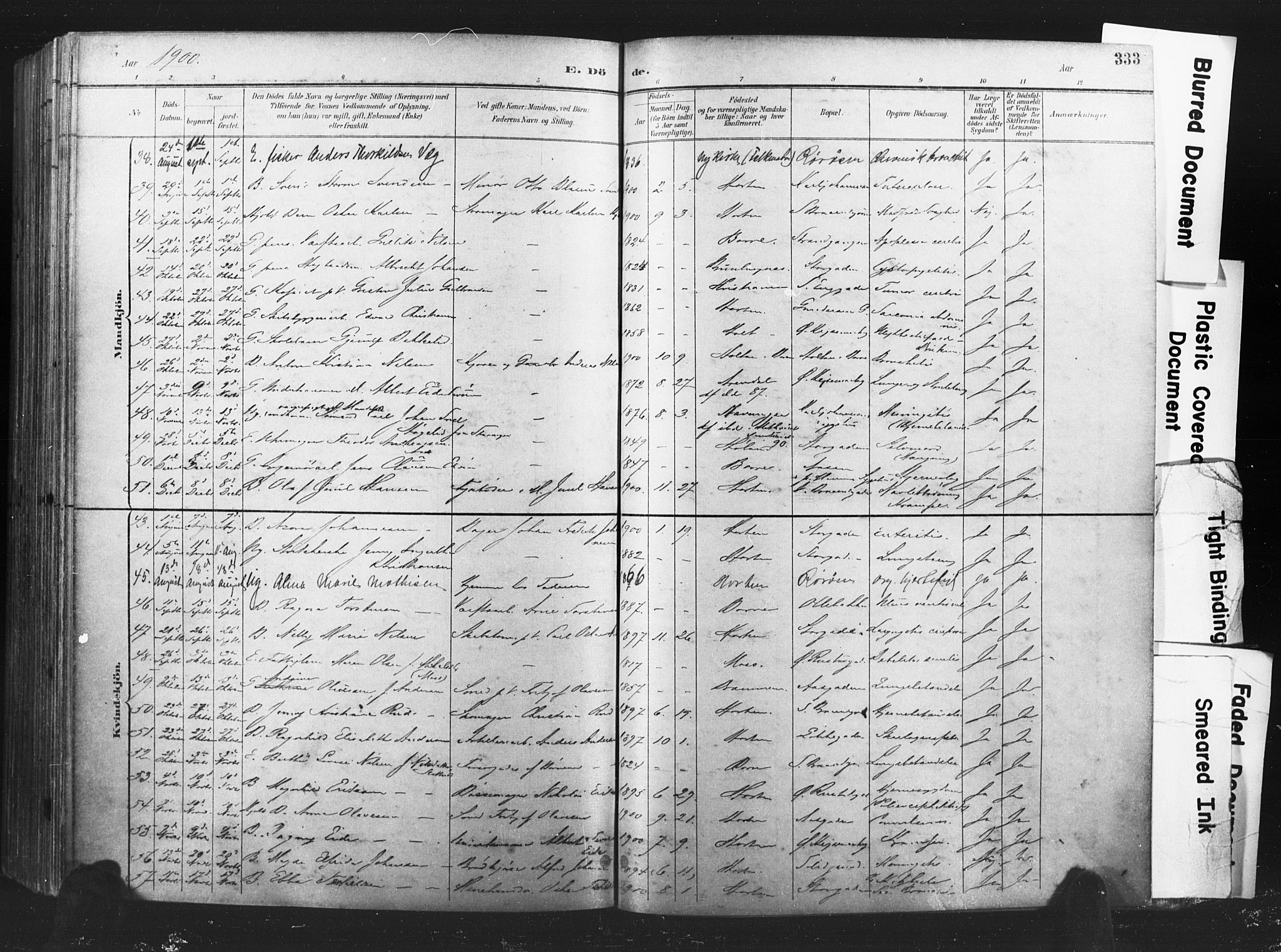 Horten kirkebøker, AV/SAKO-A-348/F/Fa/L0005: Parish register (official) no. 5, 1896-1904, p. 333