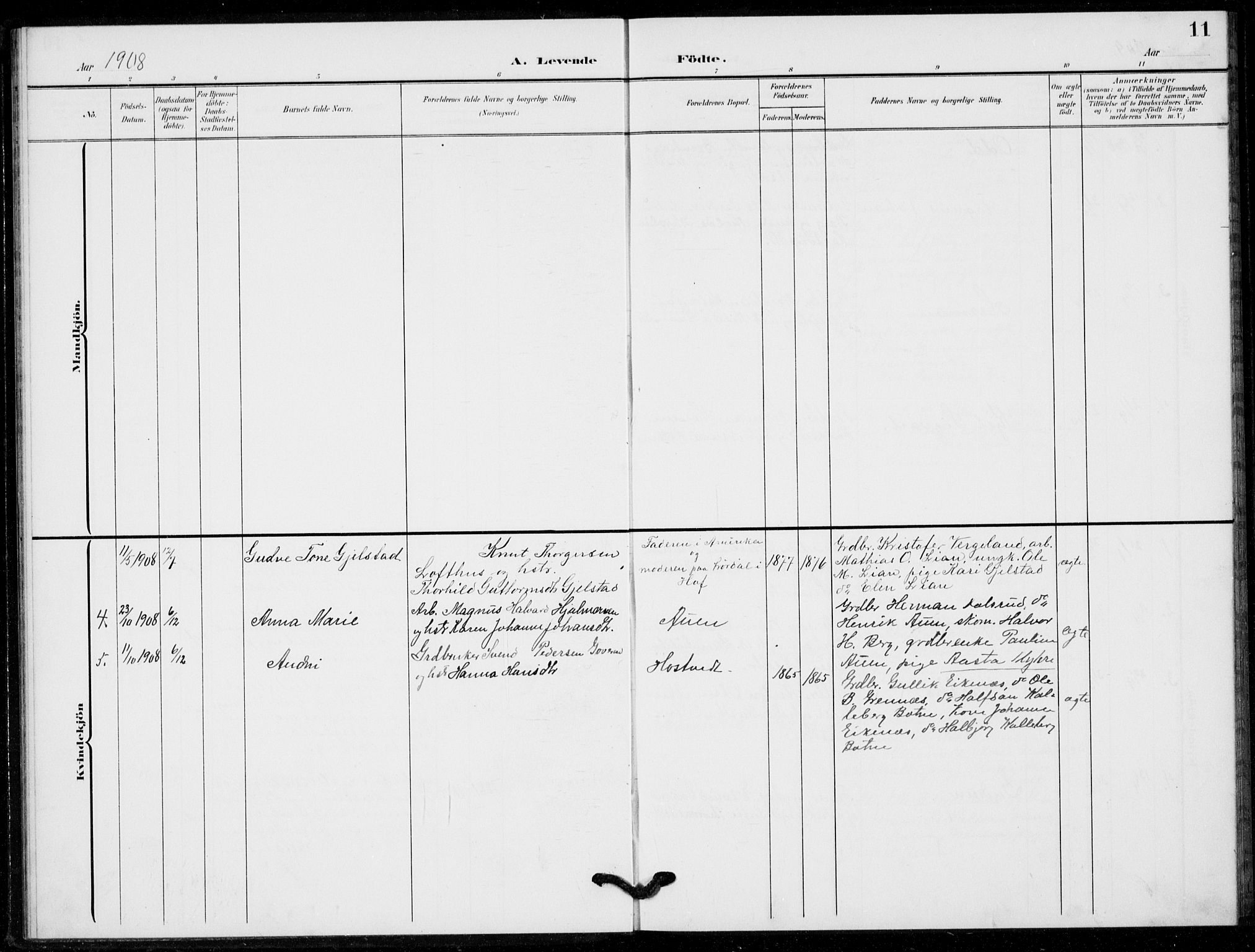 Hof kirkebøker, AV/SAKO-A-64/G/Gb/L0003: Parish register (copy) no. II 3, 1902-1917, p. 11