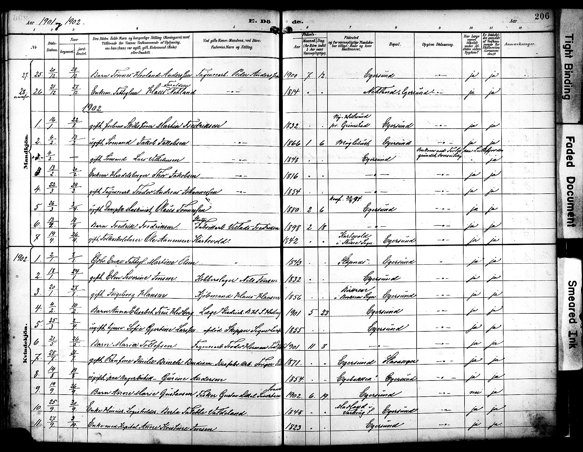 Eigersund sokneprestkontor, AV/SAST-A-101807/S08/L0019: Parish register (official) no. A 18, 1892-1905, p. 206