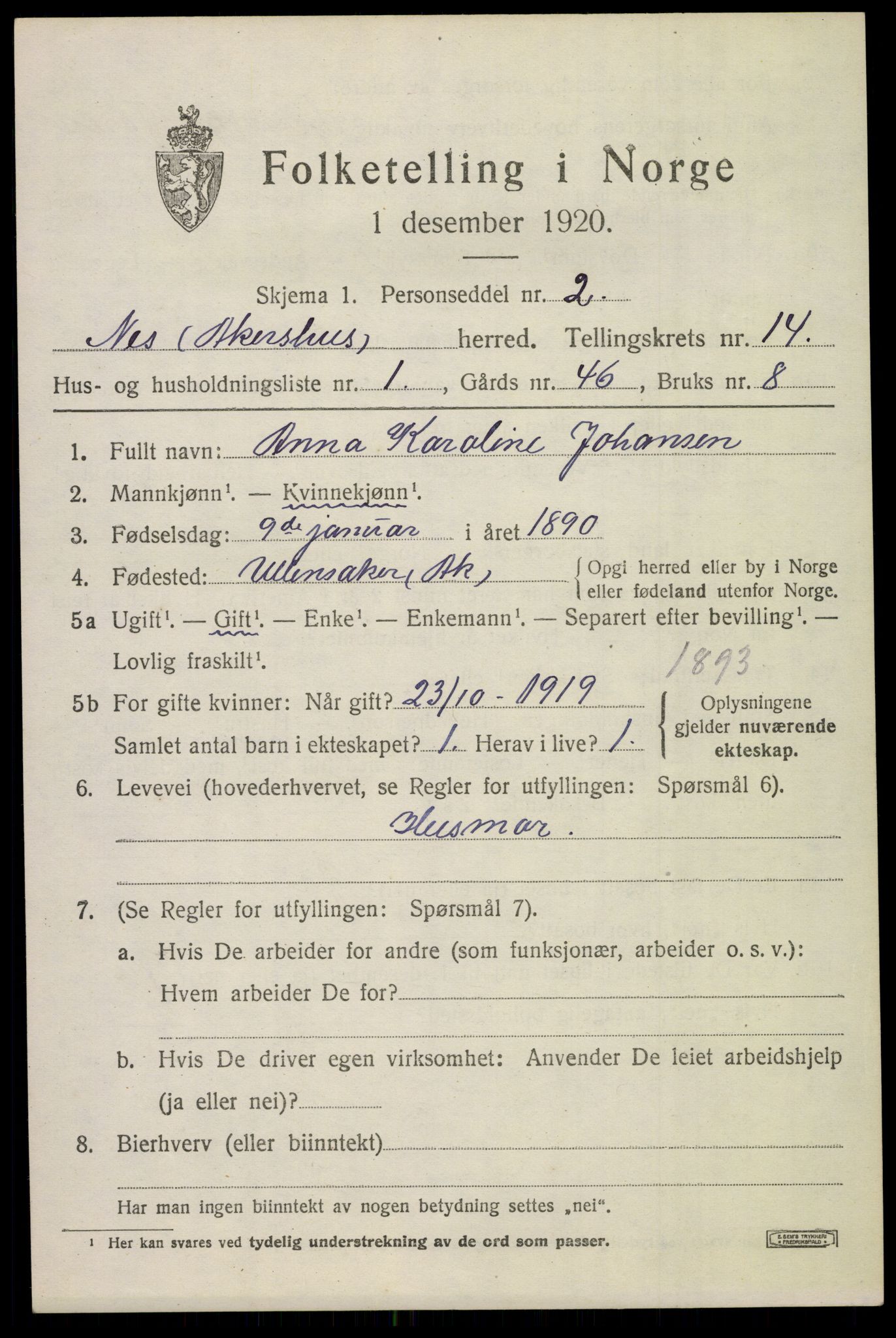 SAO, 1920 census for Nes, 1920, p. 13950