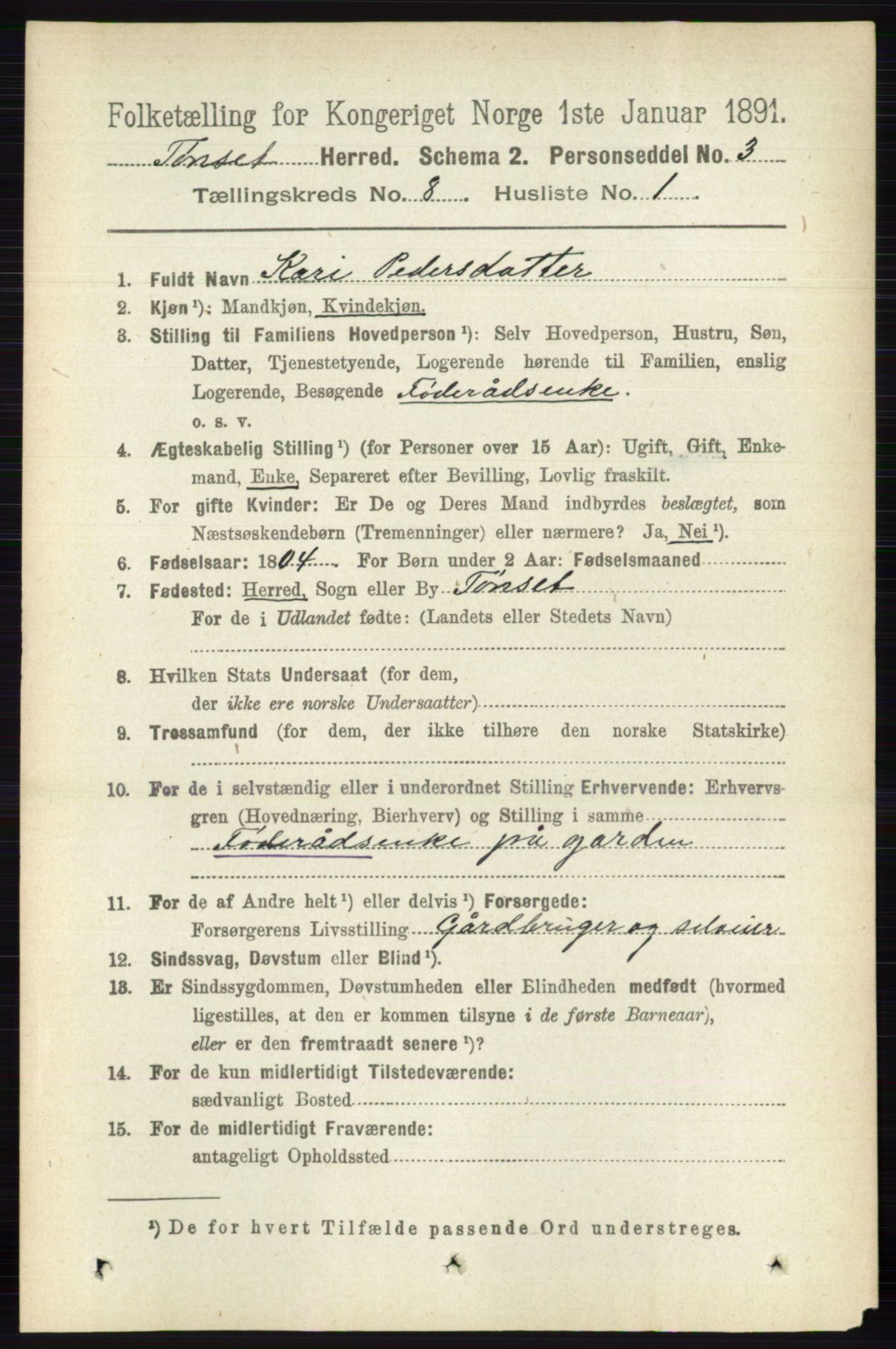 RA, 1891 census for 0437 Tynset, 1891, p. 2077