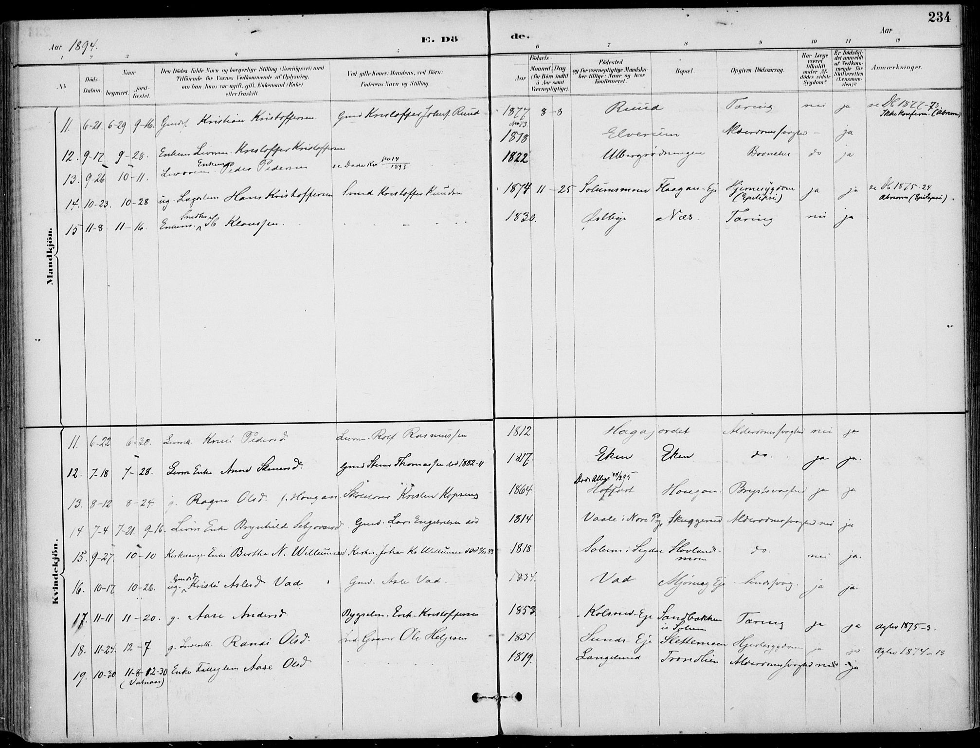 Sigdal kirkebøker, SAKO/A-245/F/Fb/L0001: Parish register (official) no. II 1, 1888-1900, p. 234