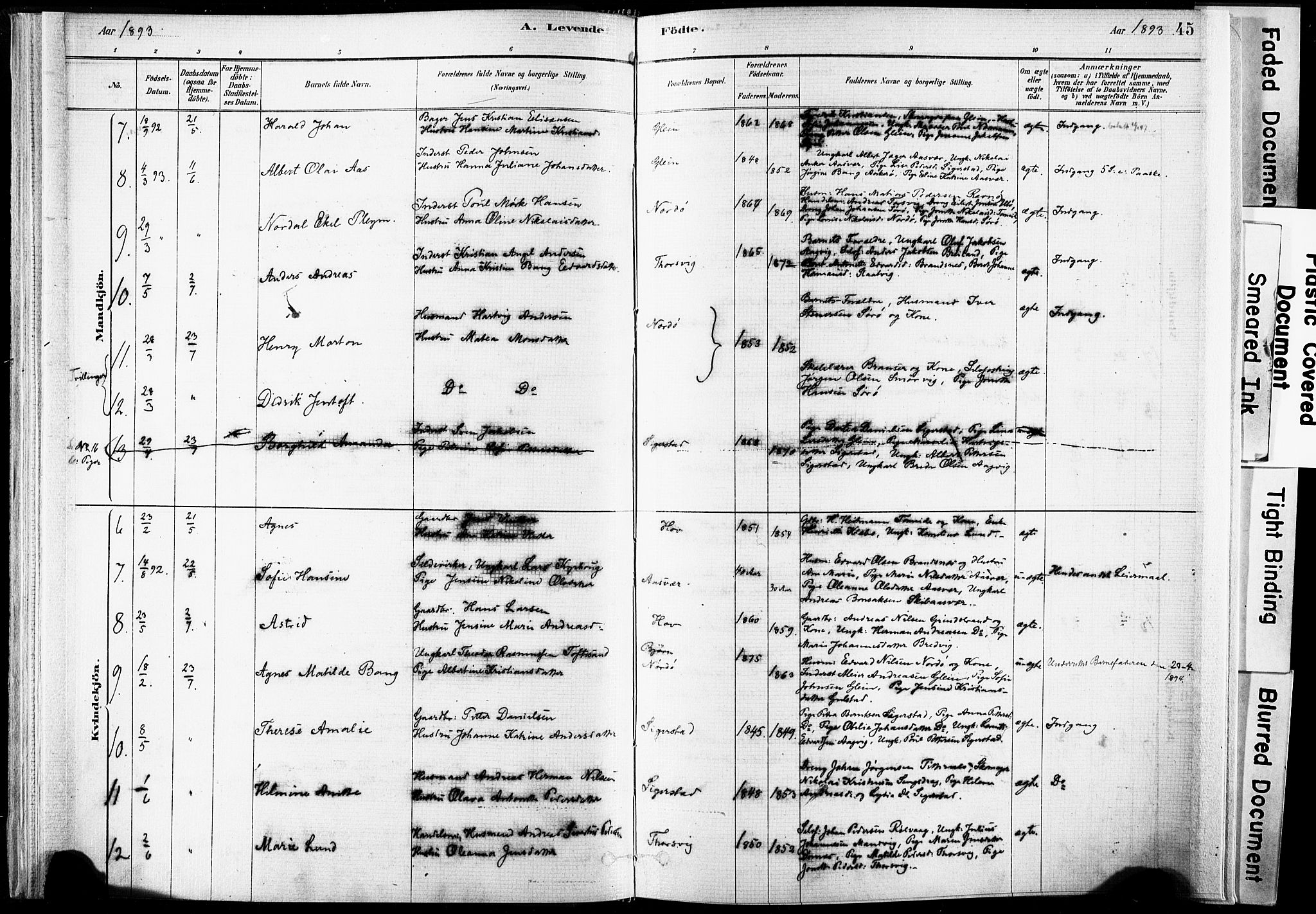 Ministerialprotokoller, klokkerbøker og fødselsregistre - Nordland, SAT/A-1459/835/L0525: Parish register (official) no. 835A03I, 1881-1910, p. 45