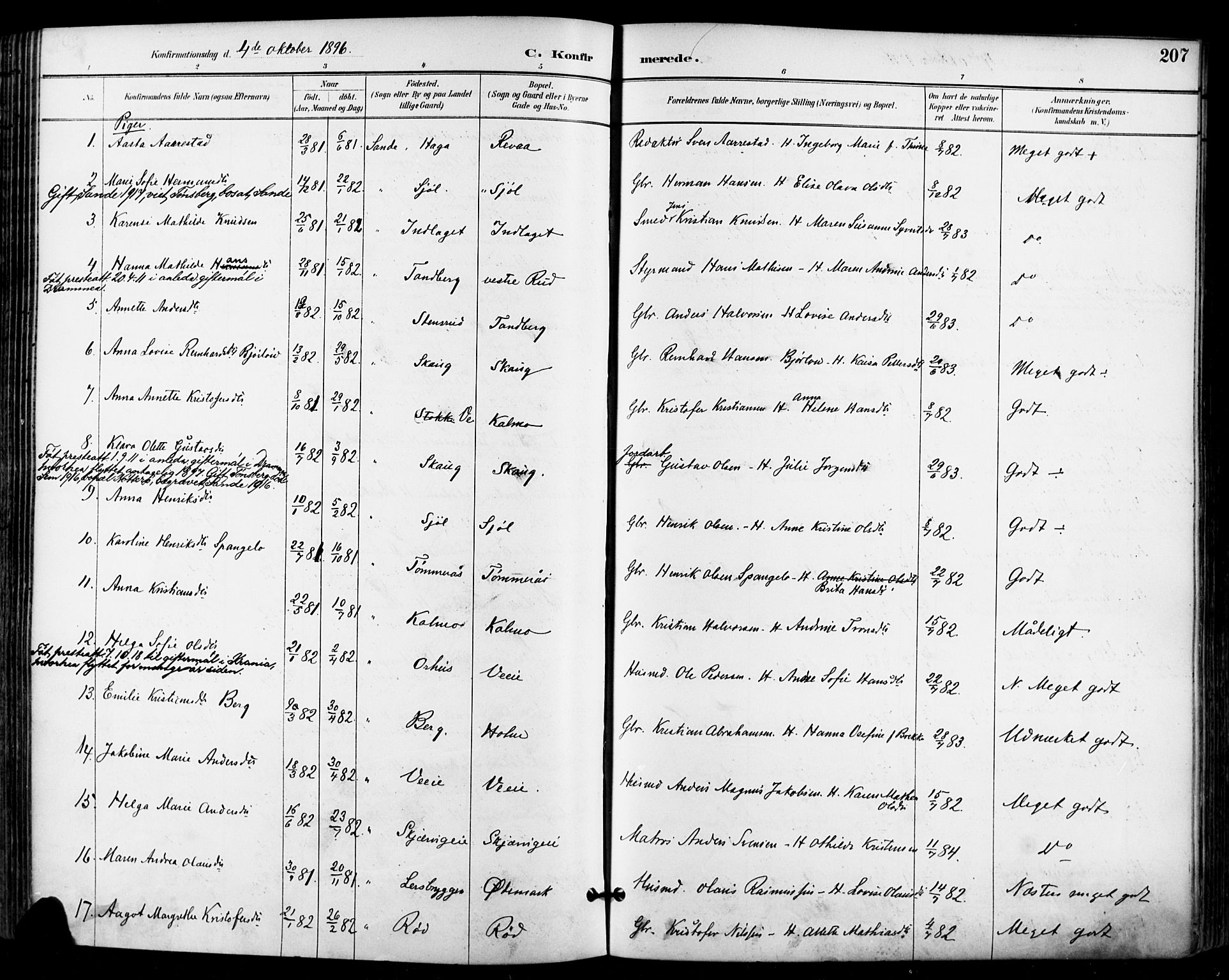 Sande Kirkebøker, SAKO/A-53/F/Fa/L0007: Parish register (official) no. 7, 1888-1903, p. 207