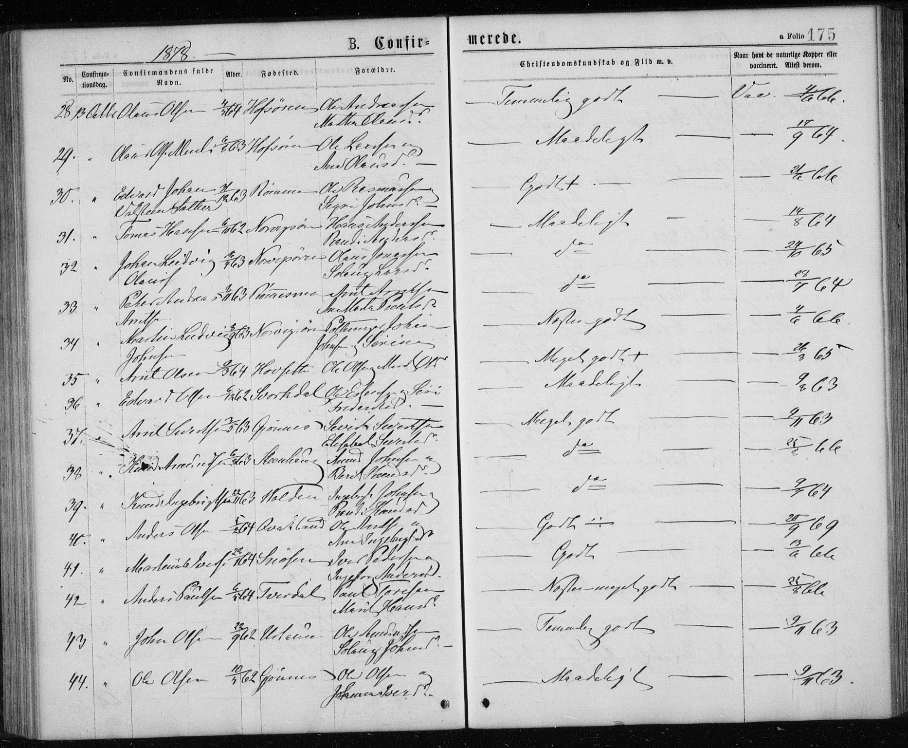 Ministerialprotokoller, klokkerbøker og fødselsregistre - Sør-Trøndelag, AV/SAT-A-1456/668/L0817: Parish register (copy) no. 668C06, 1873-1884, p. 175