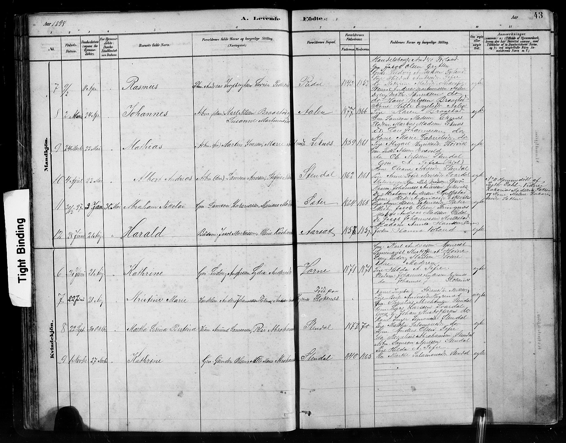 Førde sokneprestembete, SAB/A-79901/H/Hab/Habe/L0001: Parish register (copy) no. E 1, 1881-1920, p. 43