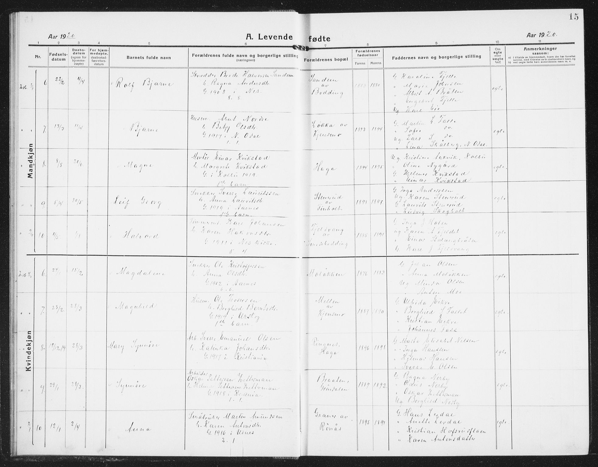 Nes prestekontor Kirkebøker, AV/SAO-A-10410/G/Gb/L0002: Parish register (copy) no. II 2, 1918-1942, p. 15