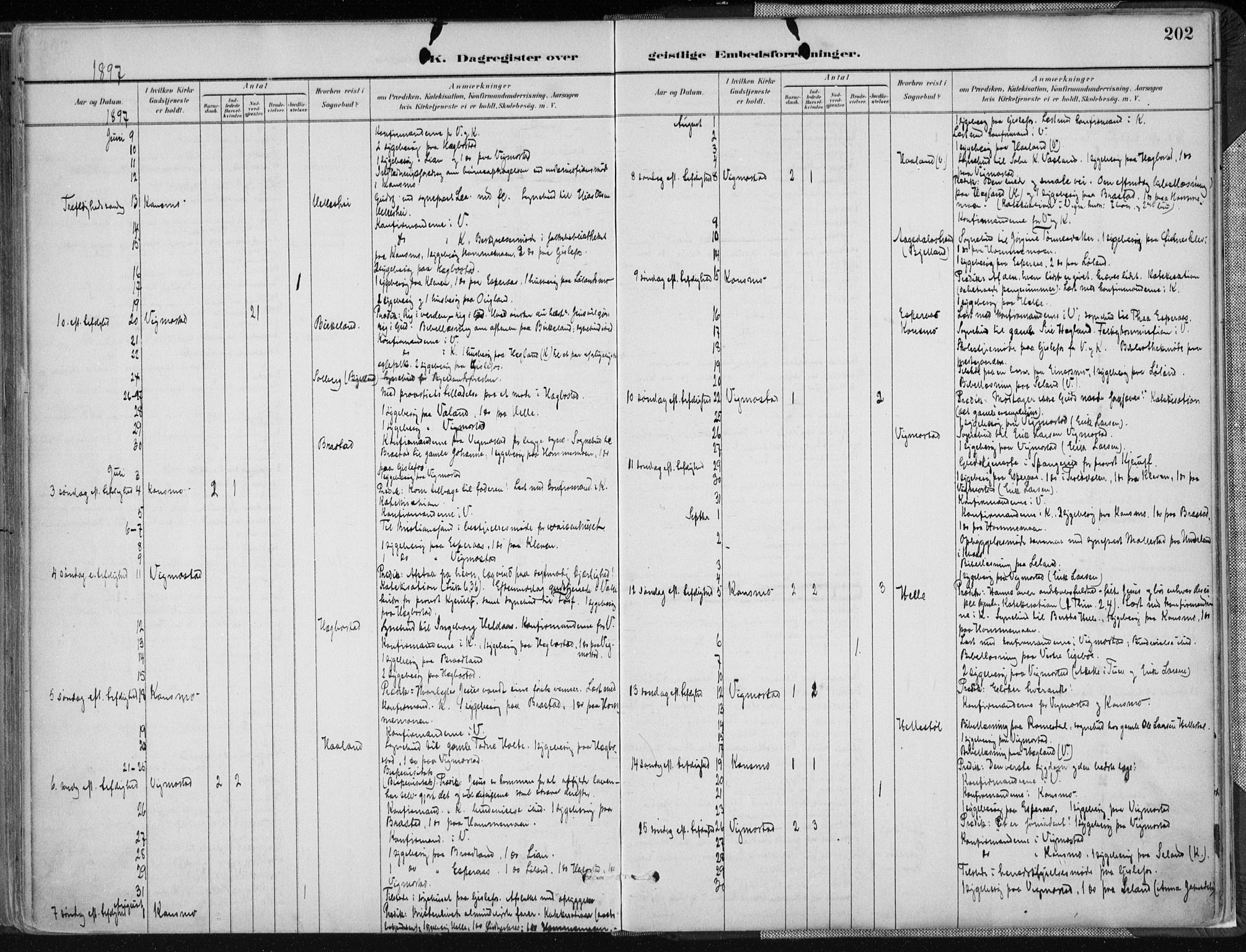 Nord-Audnedal sokneprestkontor, AV/SAK-1111-0032/F/Fa/Fab/L0003: Parish register (official) no. A 3, 1882-1900, p. 202