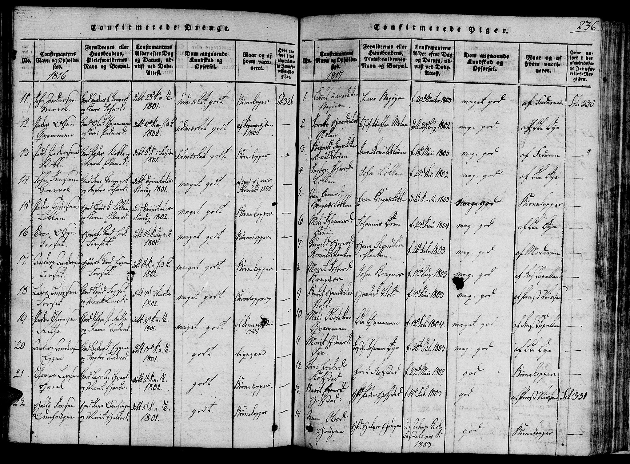 Ministerialprotokoller, klokkerbøker og fødselsregistre - Sør-Trøndelag, AV/SAT-A-1456/691/L1065: Parish register (official) no. 691A03 /1, 1816-1826, p. 236