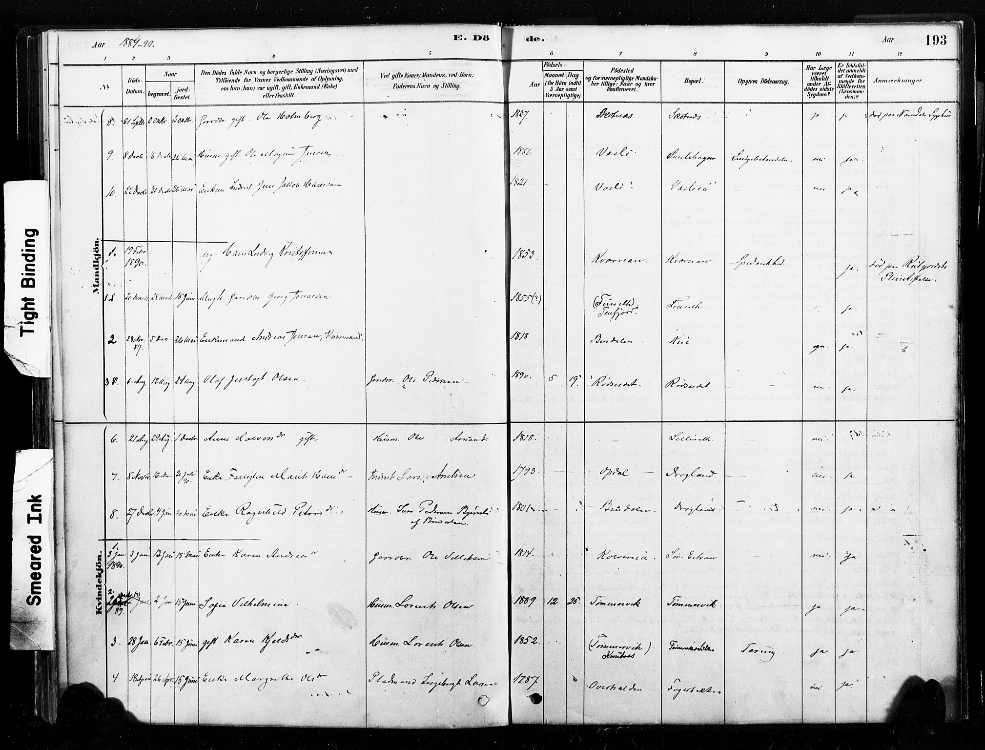 Ministerialprotokoller, klokkerbøker og fødselsregistre - Nord-Trøndelag, SAT/A-1458/789/L0705: Parish register (official) no. 789A01, 1878-1910, p. 193