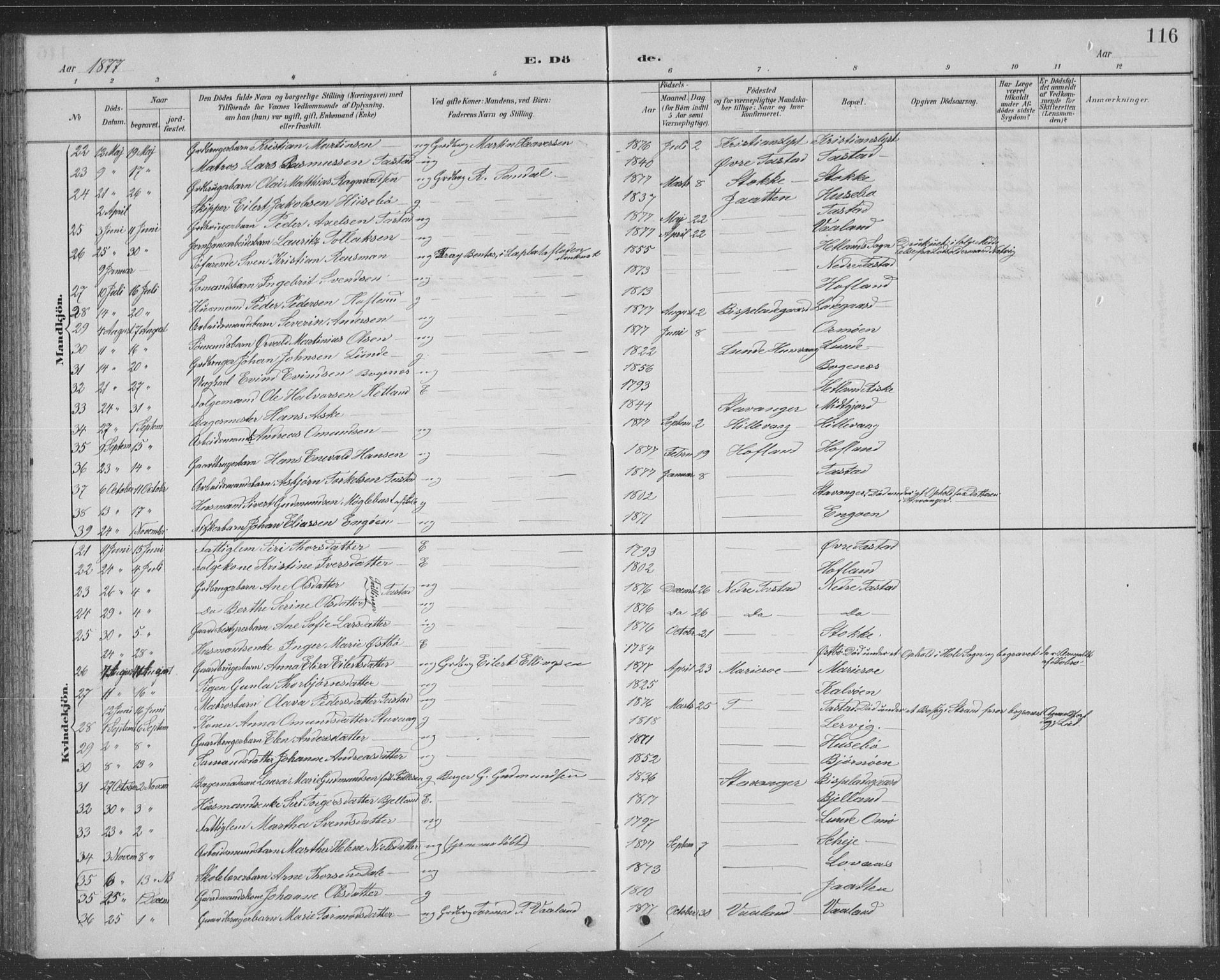 Hetland sokneprestkontor, AV/SAST-A-101826/30/30BB/L0004: Parish register (copy) no. B 4, 1869-1877, p. 116