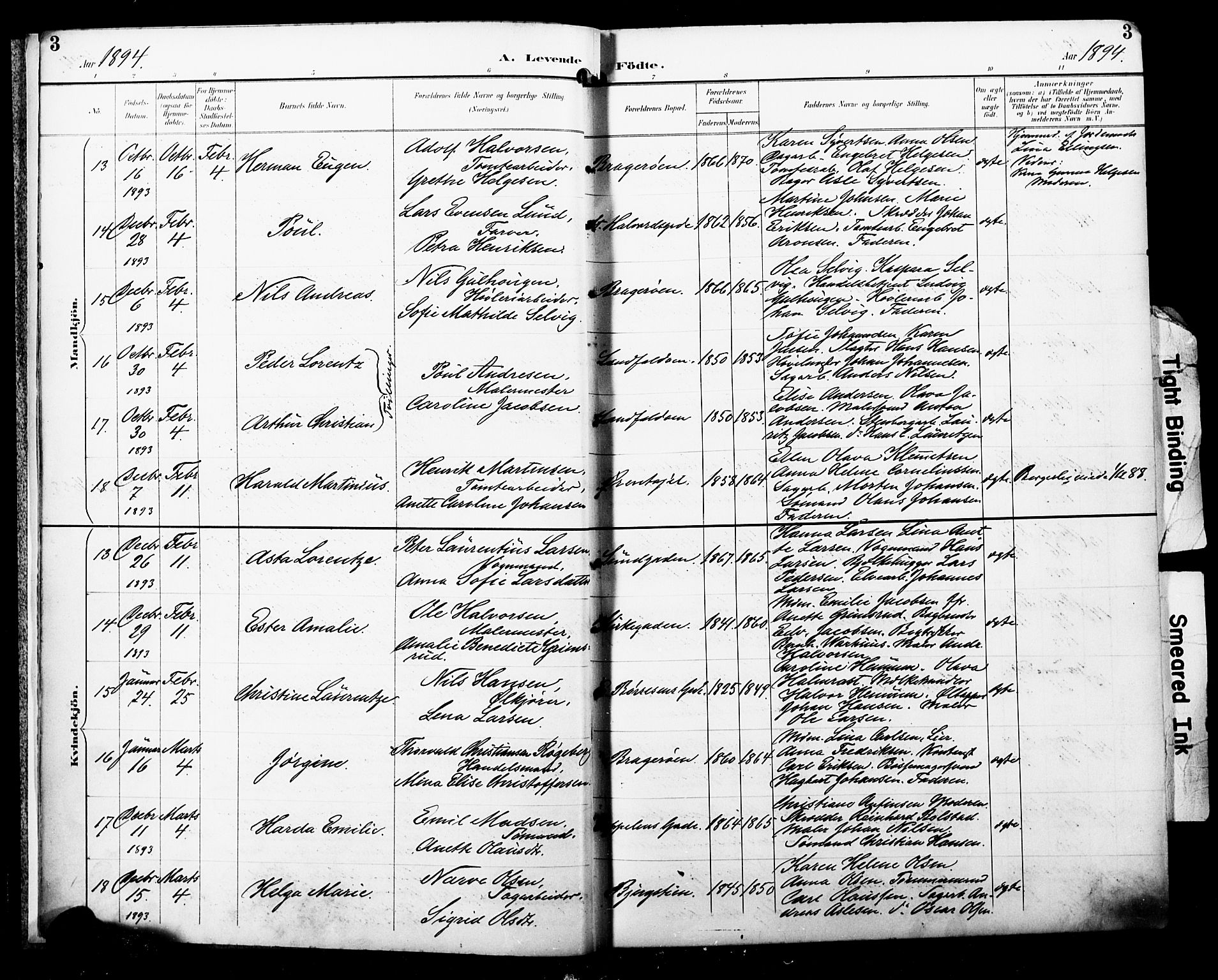 Bragernes kirkebøker, AV/SAKO-A-6/F/Fb/L0008: Parish register (official) no. II 8, 1894-1902, p. 3