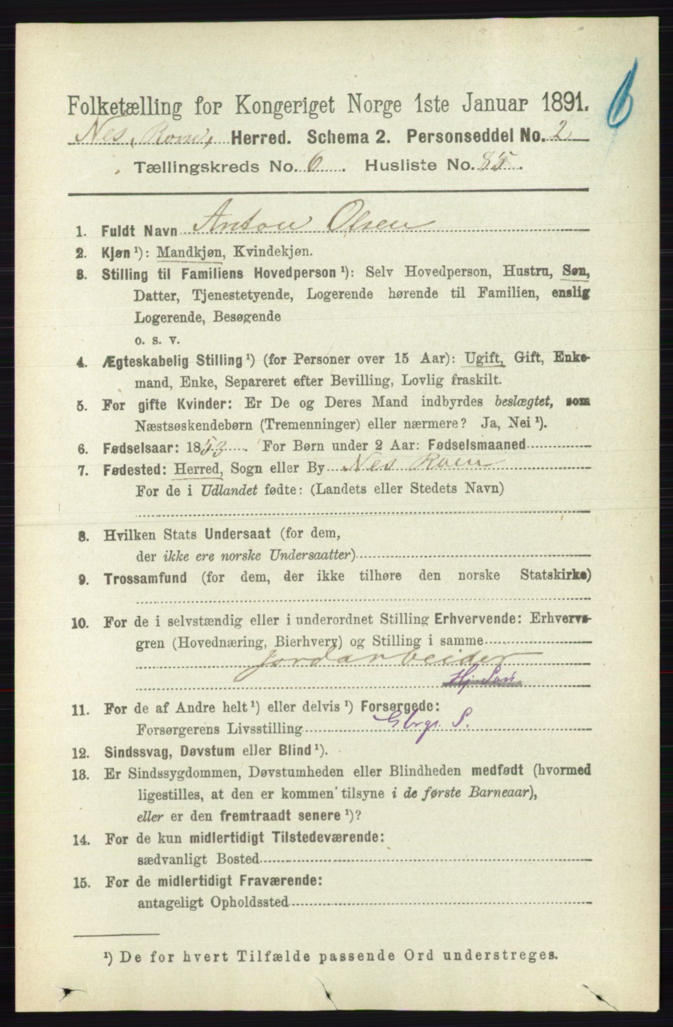 RA, 1891 census for 0236 Nes, 1891, p. 3909