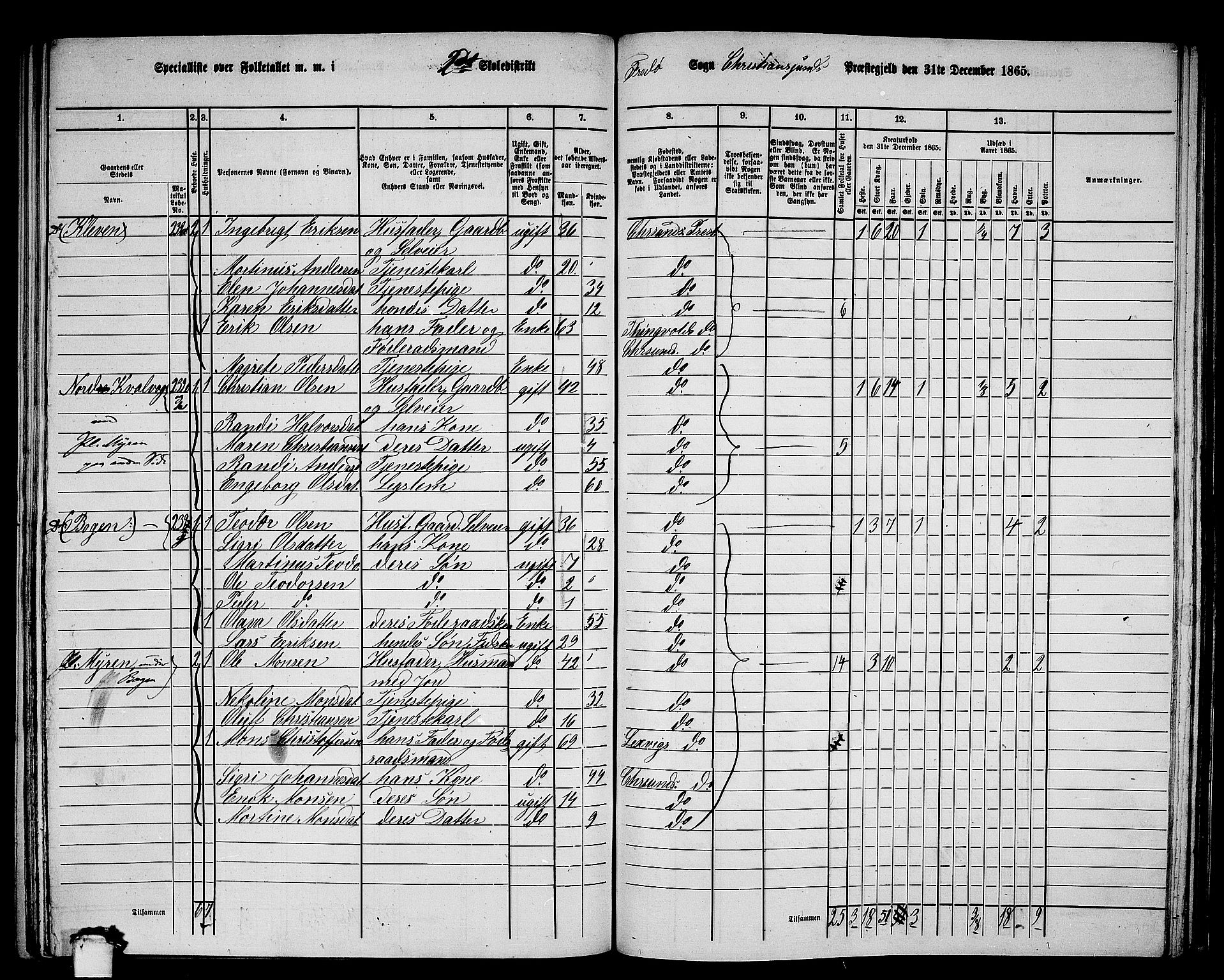 RA, 1865 census for Kristiansund/Frei og Grip, 1865, p. 32