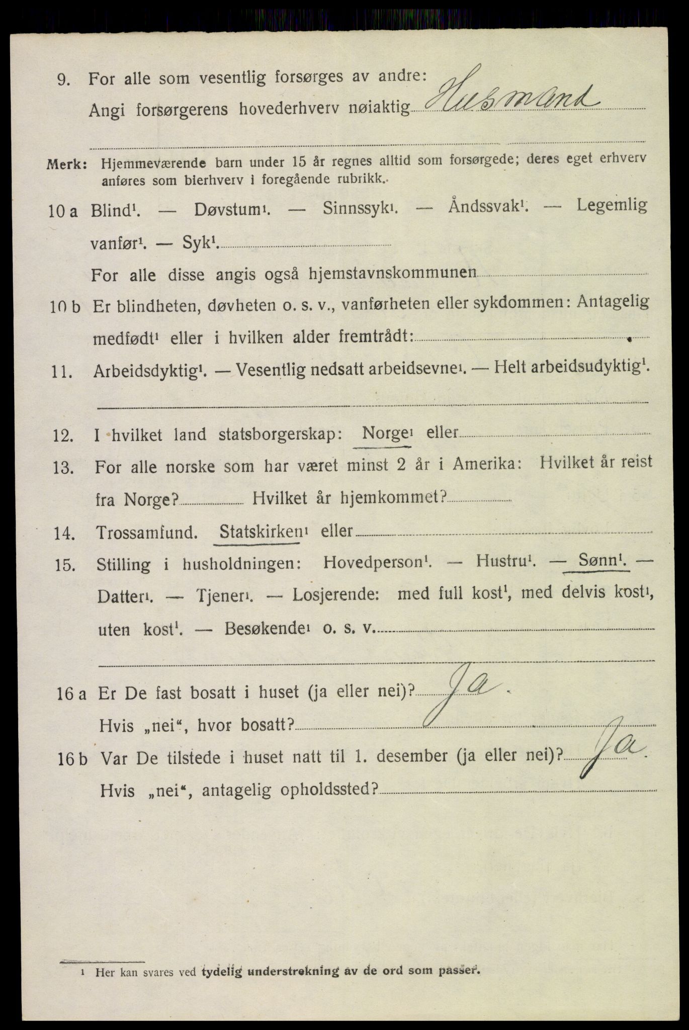 SAH, 1920 census for Ringsaker, 1920, p. 4941