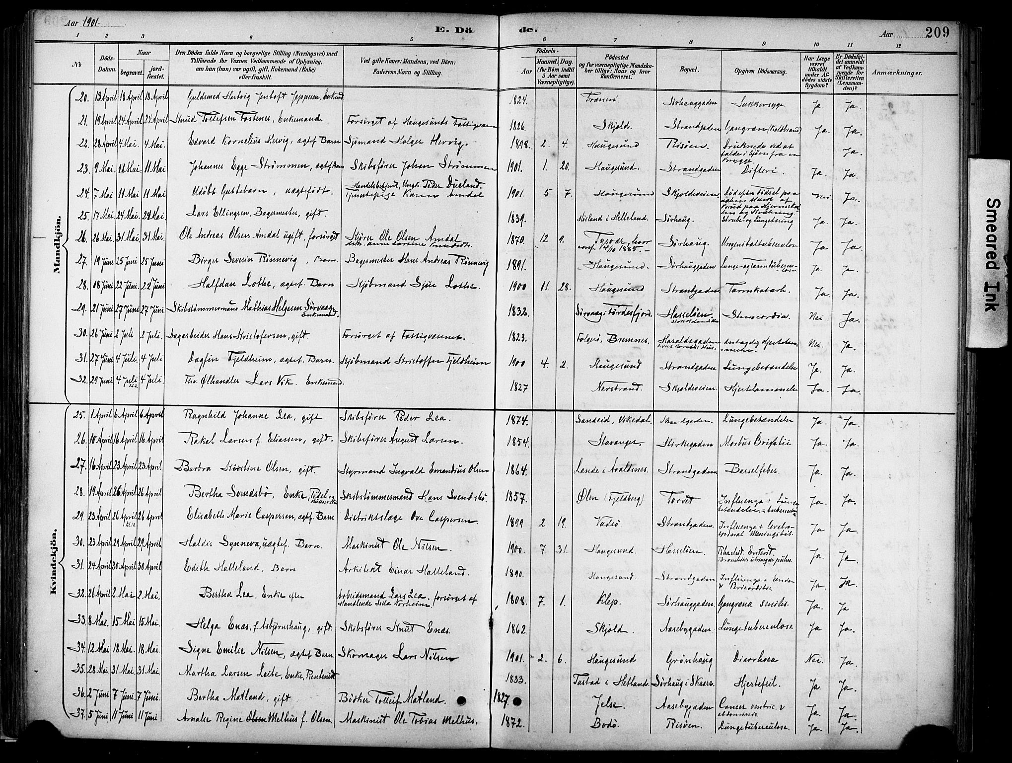 Haugesund sokneprestkontor, AV/SAST-A -101863/H/Ha/Haa/L0005: Parish register (official) no. A 5, 1891-1903, p. 209