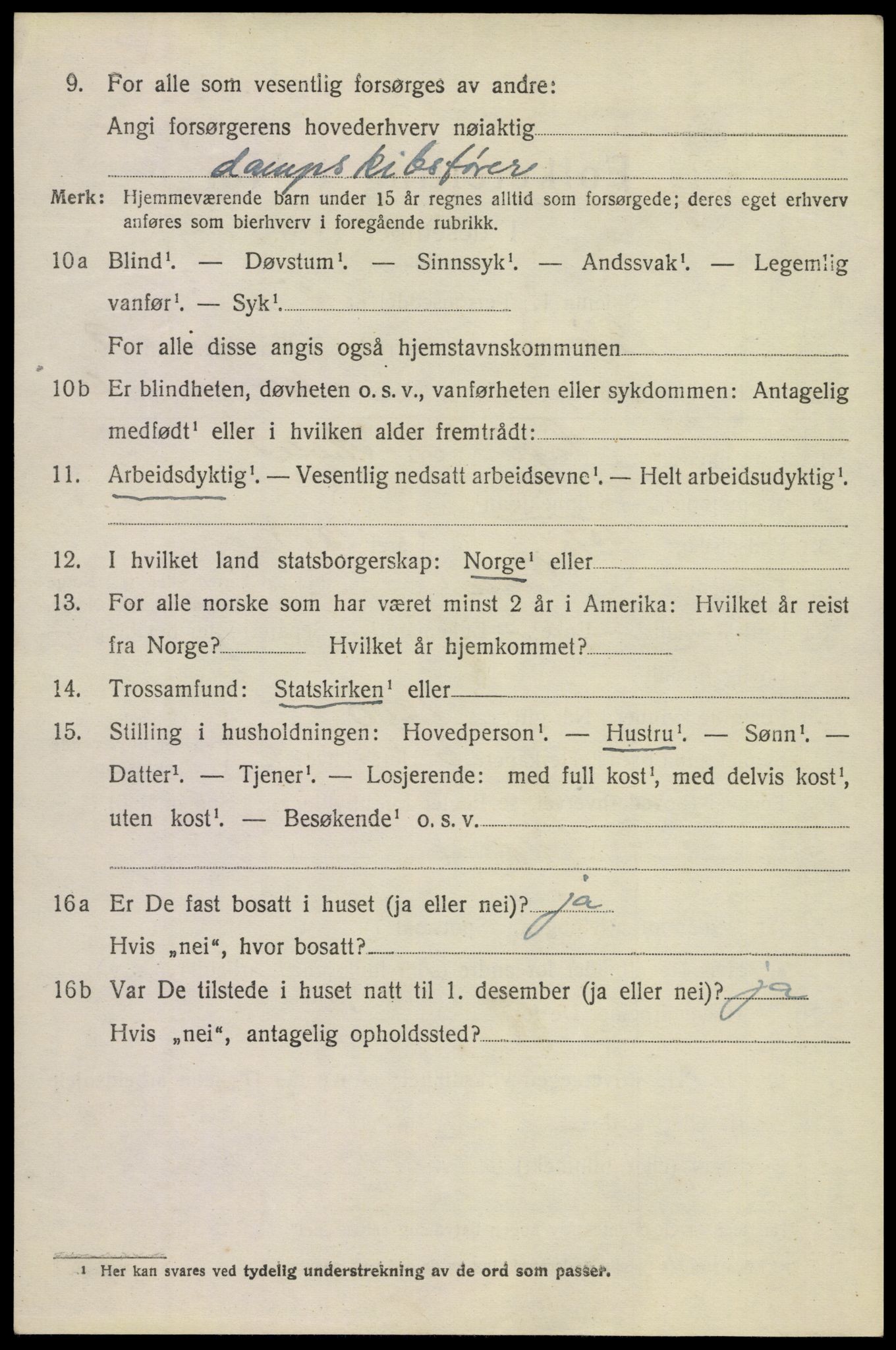 SAKO, 1920 census for Tinn, 1920, p. 5951