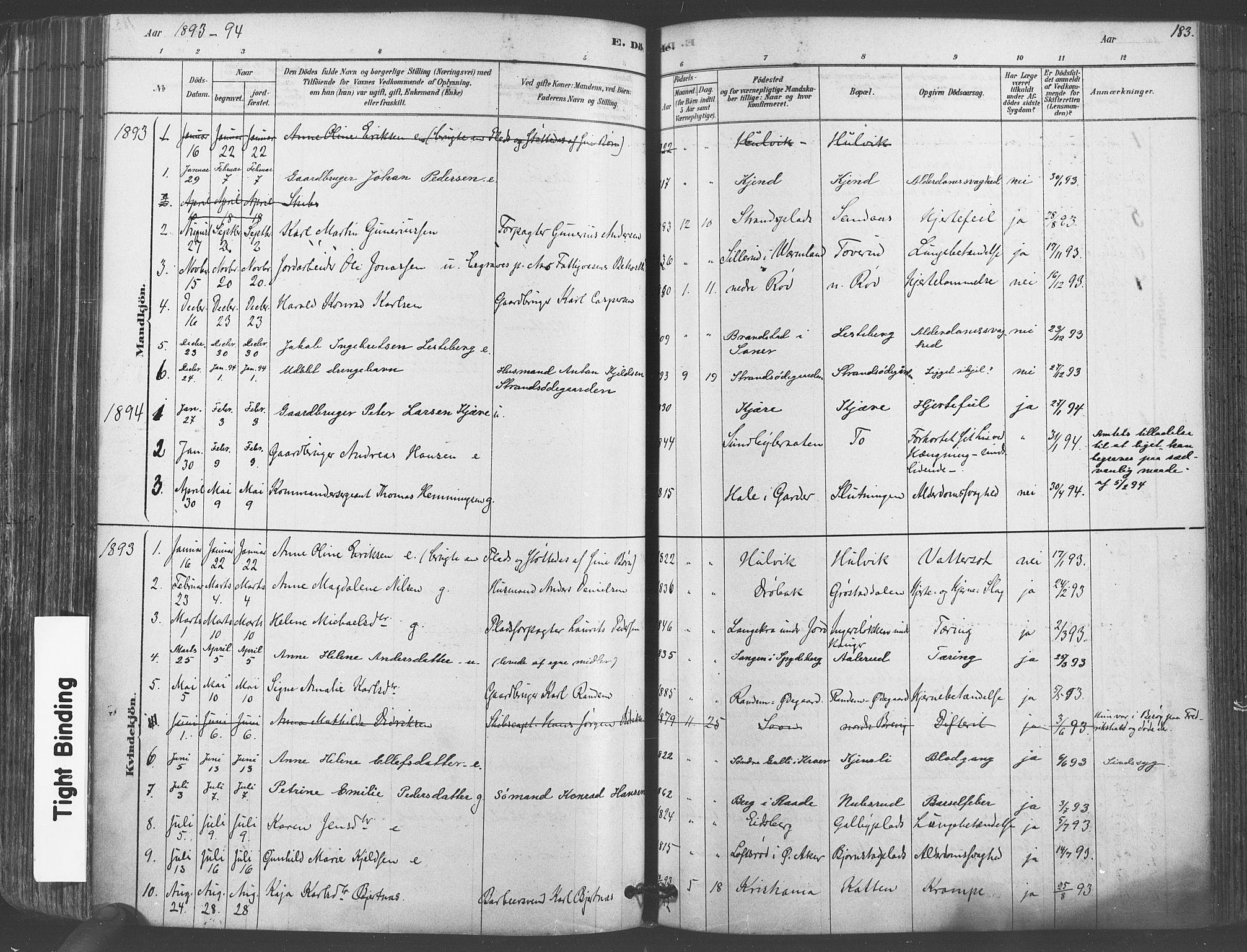 Vestby prestekontor Kirkebøker, AV/SAO-A-10893/F/Fa/L0009: Parish register (official) no. I 9, 1878-1900, p. 183