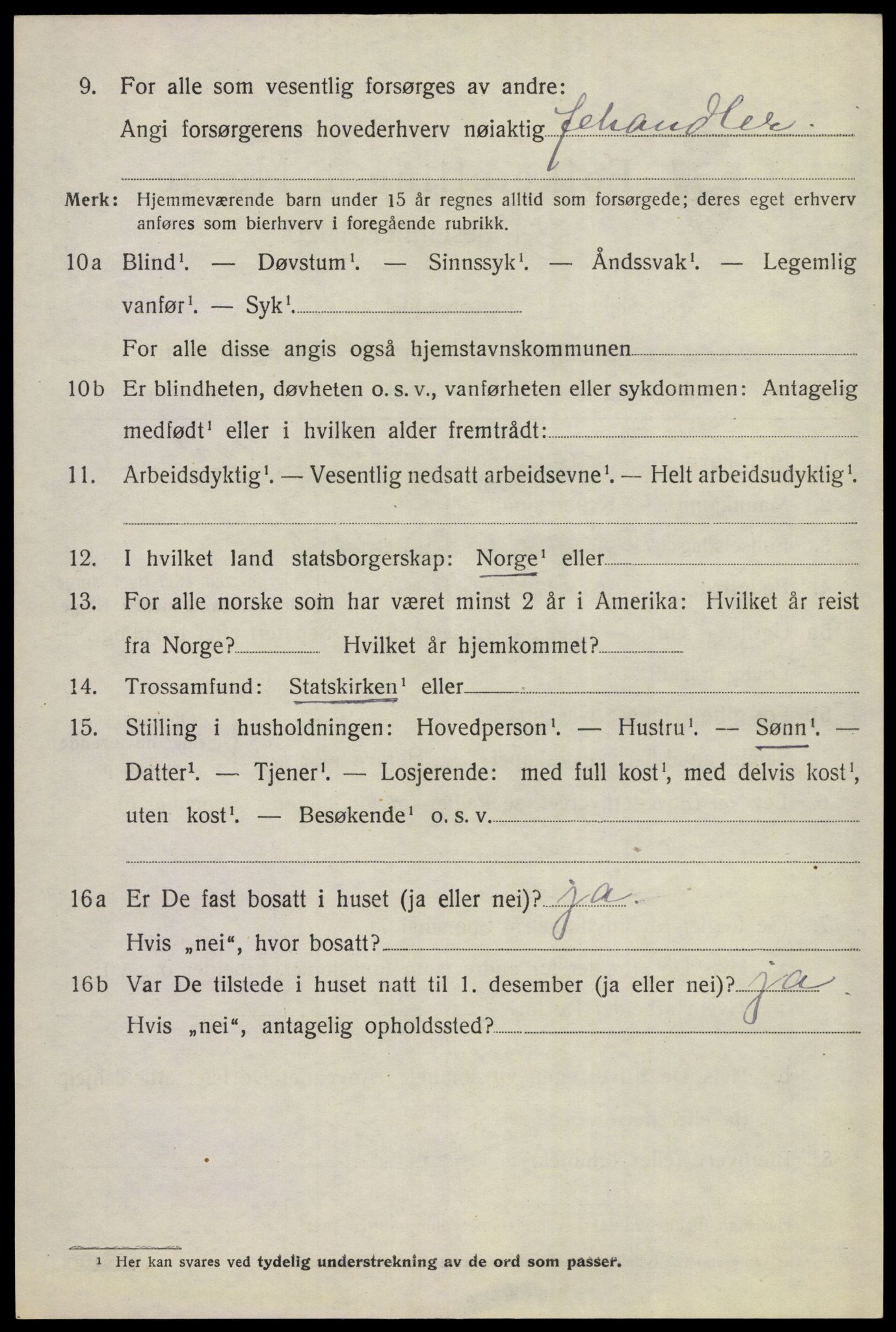 SAKO, 1920 census for Hemsedal, 1920, p. 1449