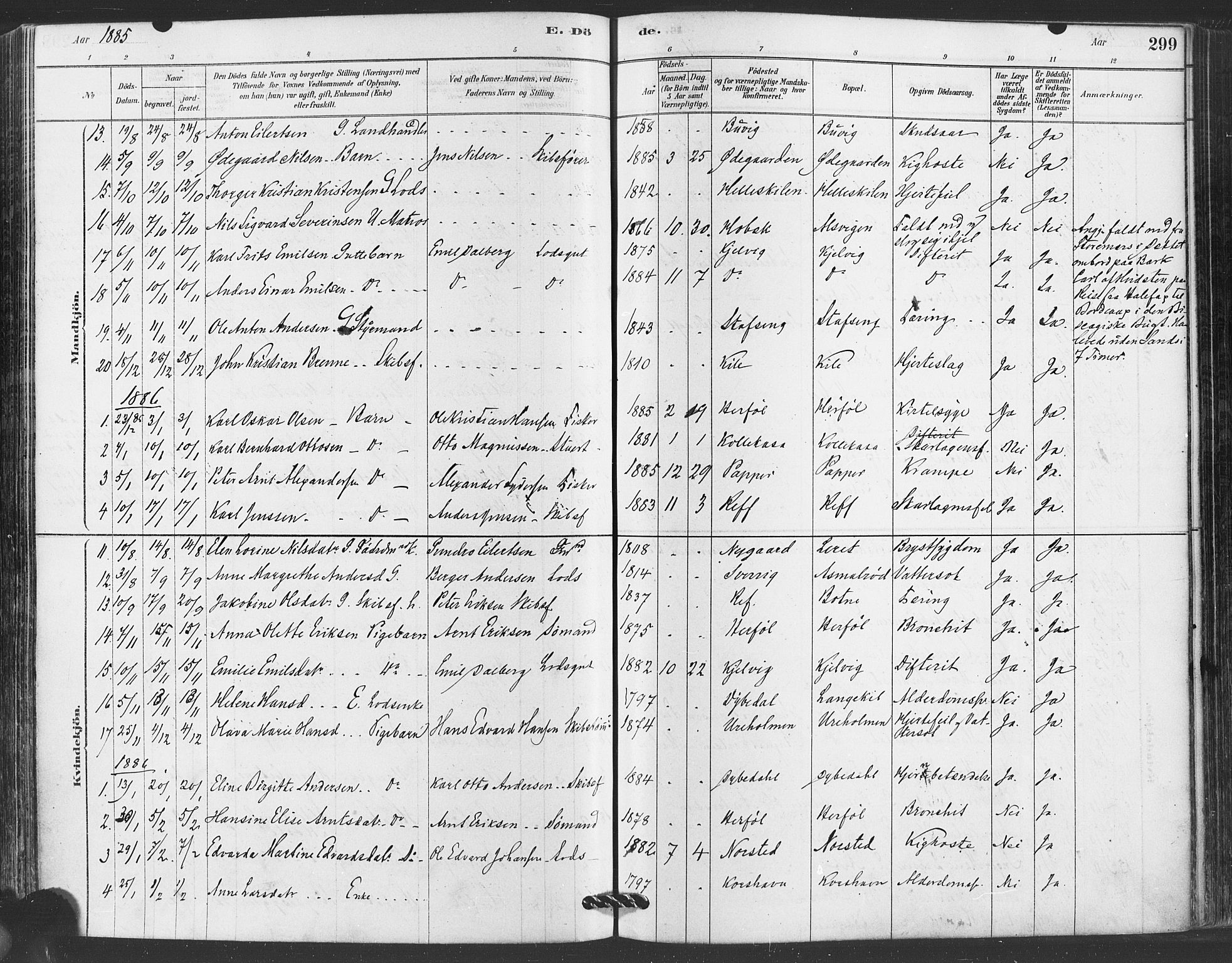 Hvaler prestekontor Kirkebøker, SAO/A-2001/F/Fa/L0008: Parish register (official) no. I 8, 1878-1895, p. 299