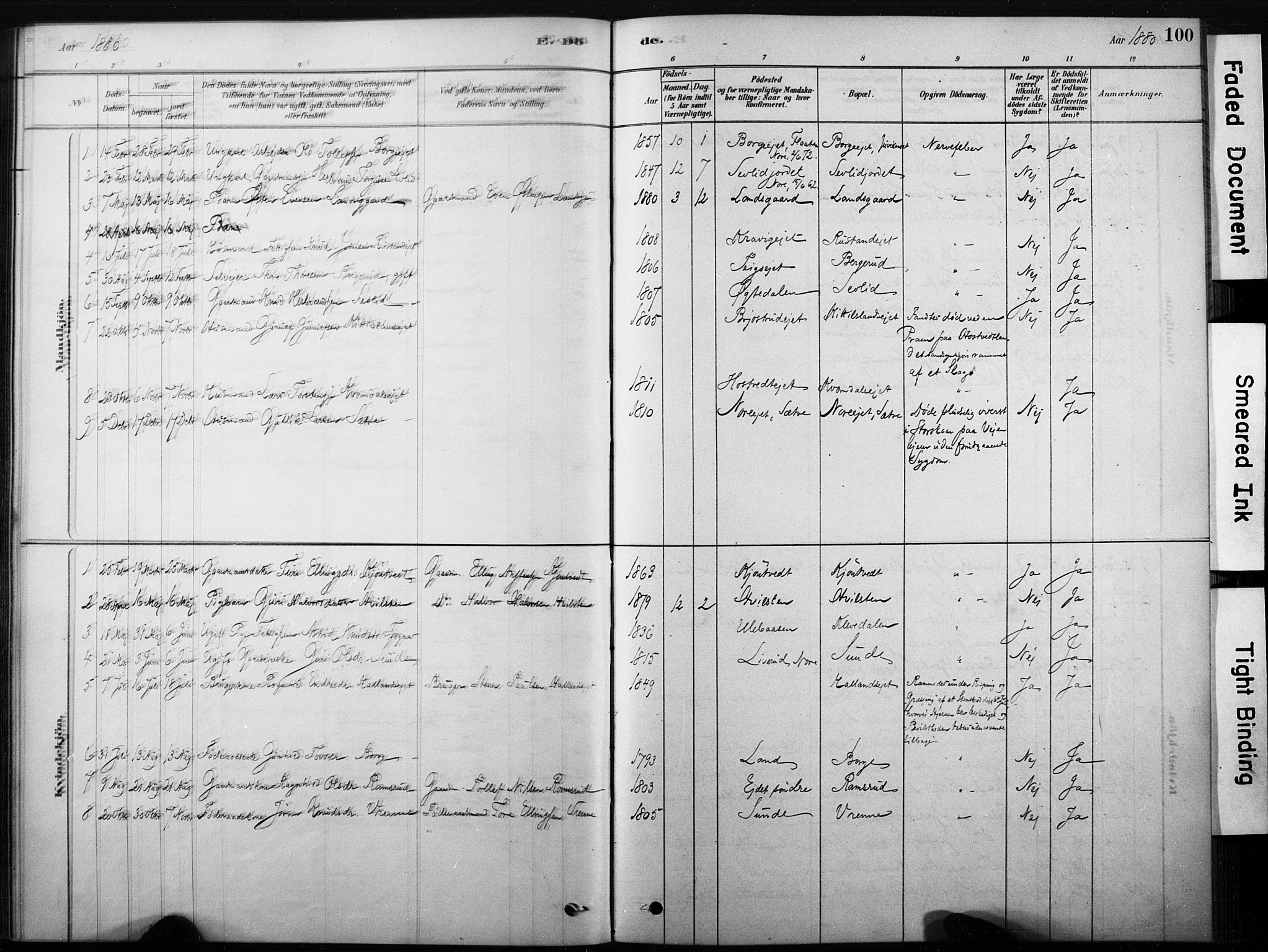 Nore kirkebøker, SAKO/A-238/F/Fb/L0001: Parish register (official) no. II 1, 1878-1886, p. 100