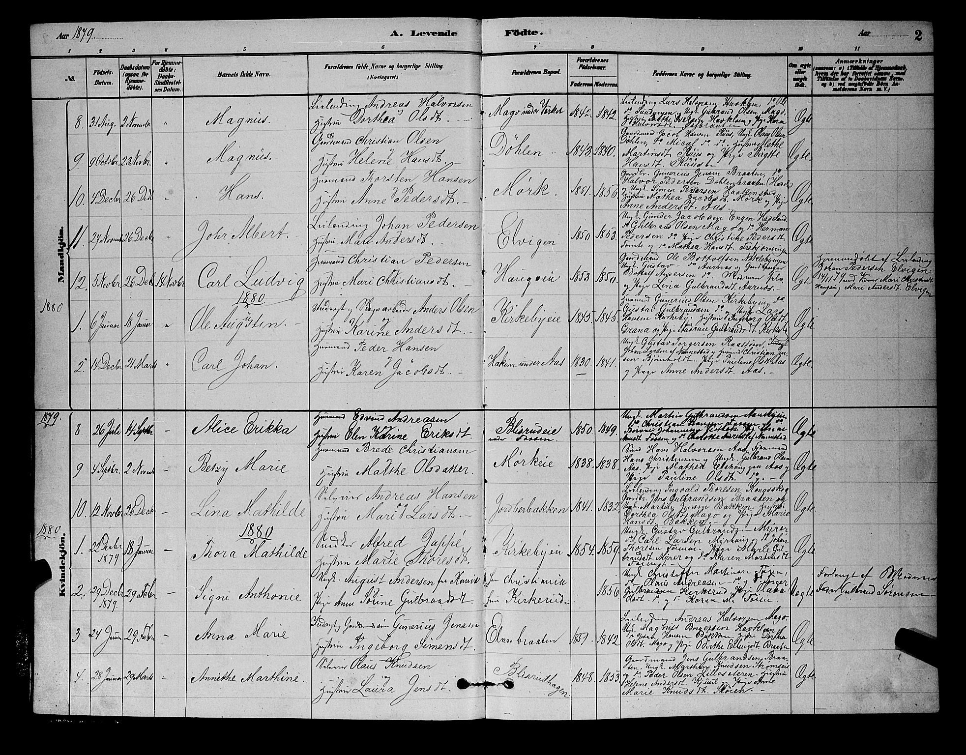 Nittedal prestekontor Kirkebøker, SAO/A-10365a/G/Gb/L0002: Parish register (copy) no. II 2, 1879-1901, p. 2