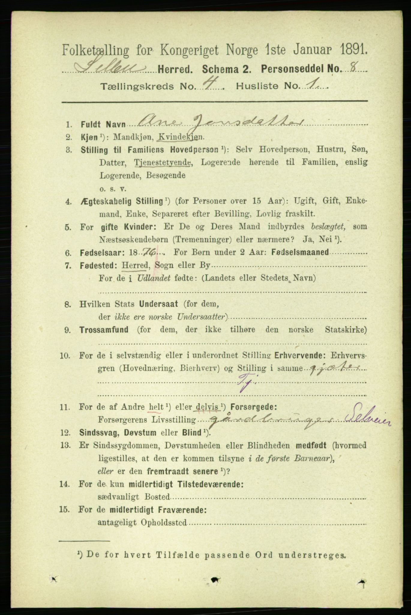 RA, 1891 census for 1664 Selbu, 1891, p. 1070