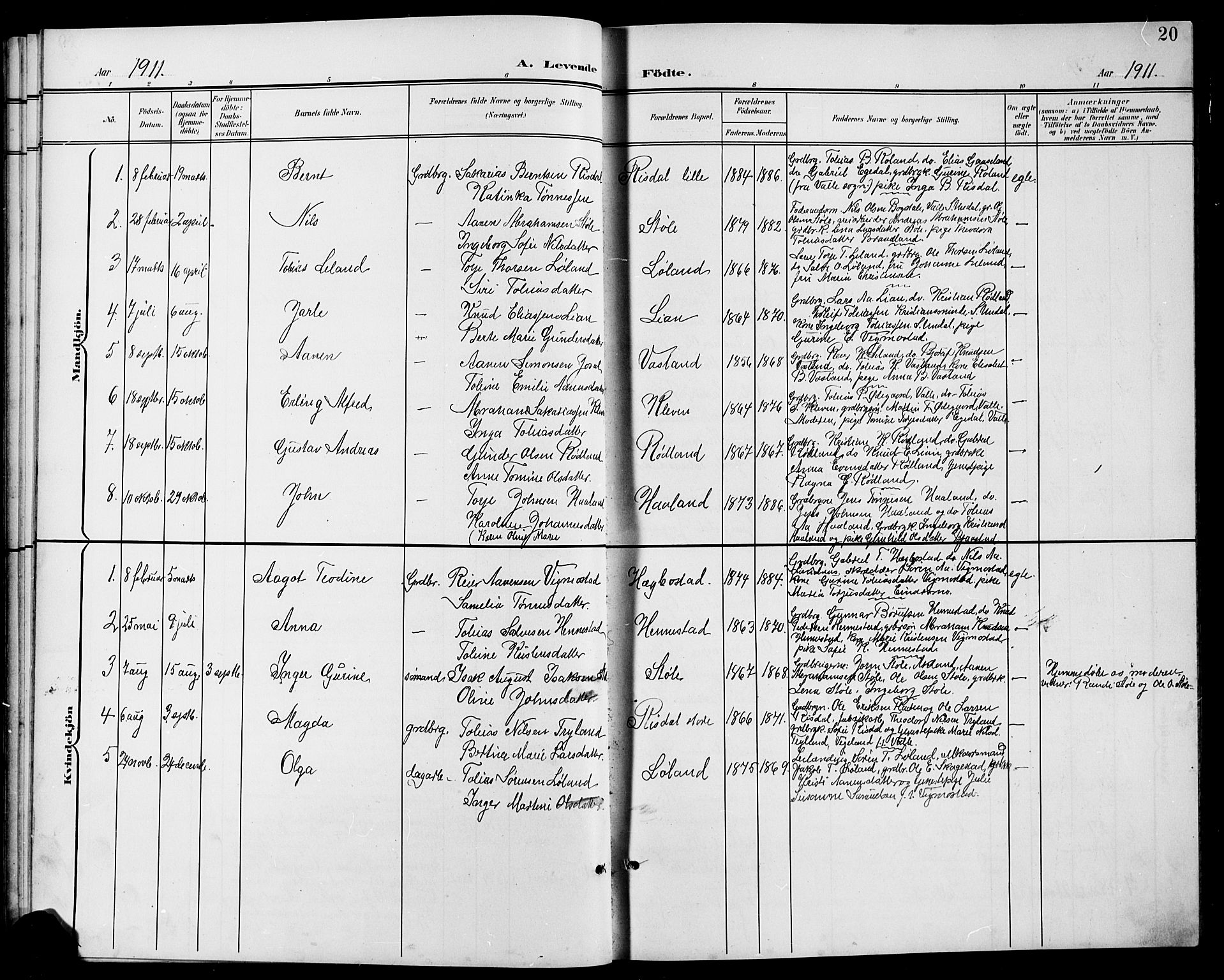 Nord-Audnedal sokneprestkontor, SAK/1111-0032/F/Fb/Fbb/L0004: Parish register (copy) no. B 4, 1901-1917, p. 20