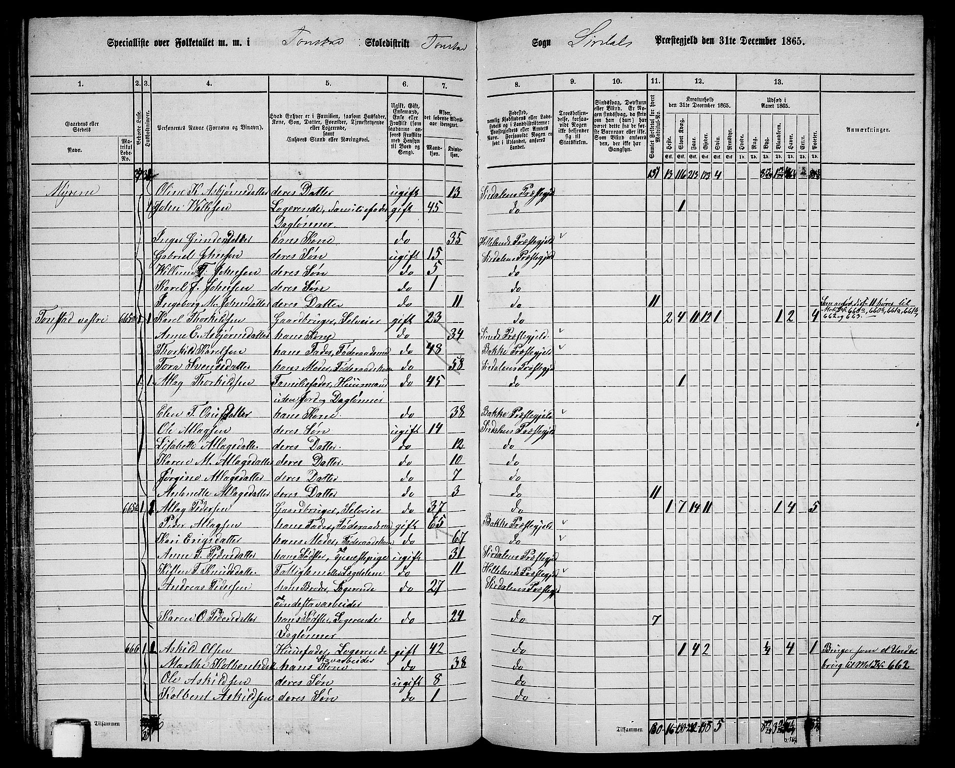 RA, 1865 census for Sirdal, 1865, p. 30