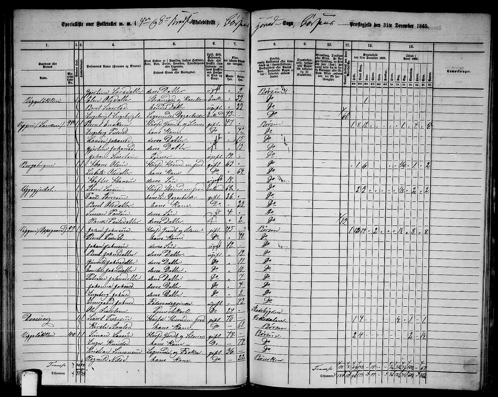 RA, 1865 census for Børsa, 1865, p. 71