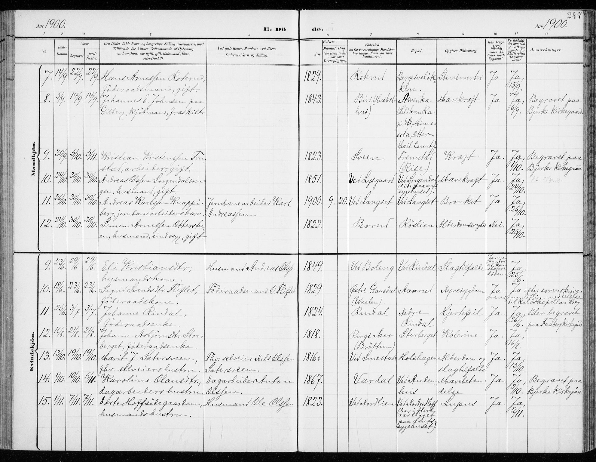 Fåberg prestekontor, SAH/PREST-086/H/Ha/Haa/L0011: Parish register (official) no. 11, 1899-1913, p. 247