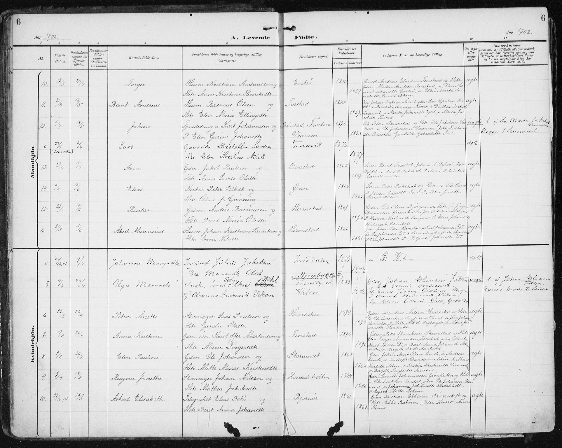 Ministerialprotokoller, klokkerbøker og fødselsregistre - Sør-Trøndelag, AV/SAT-A-1456/646/L0616: Parish register (official) no. 646A14, 1900-1918, p. 6