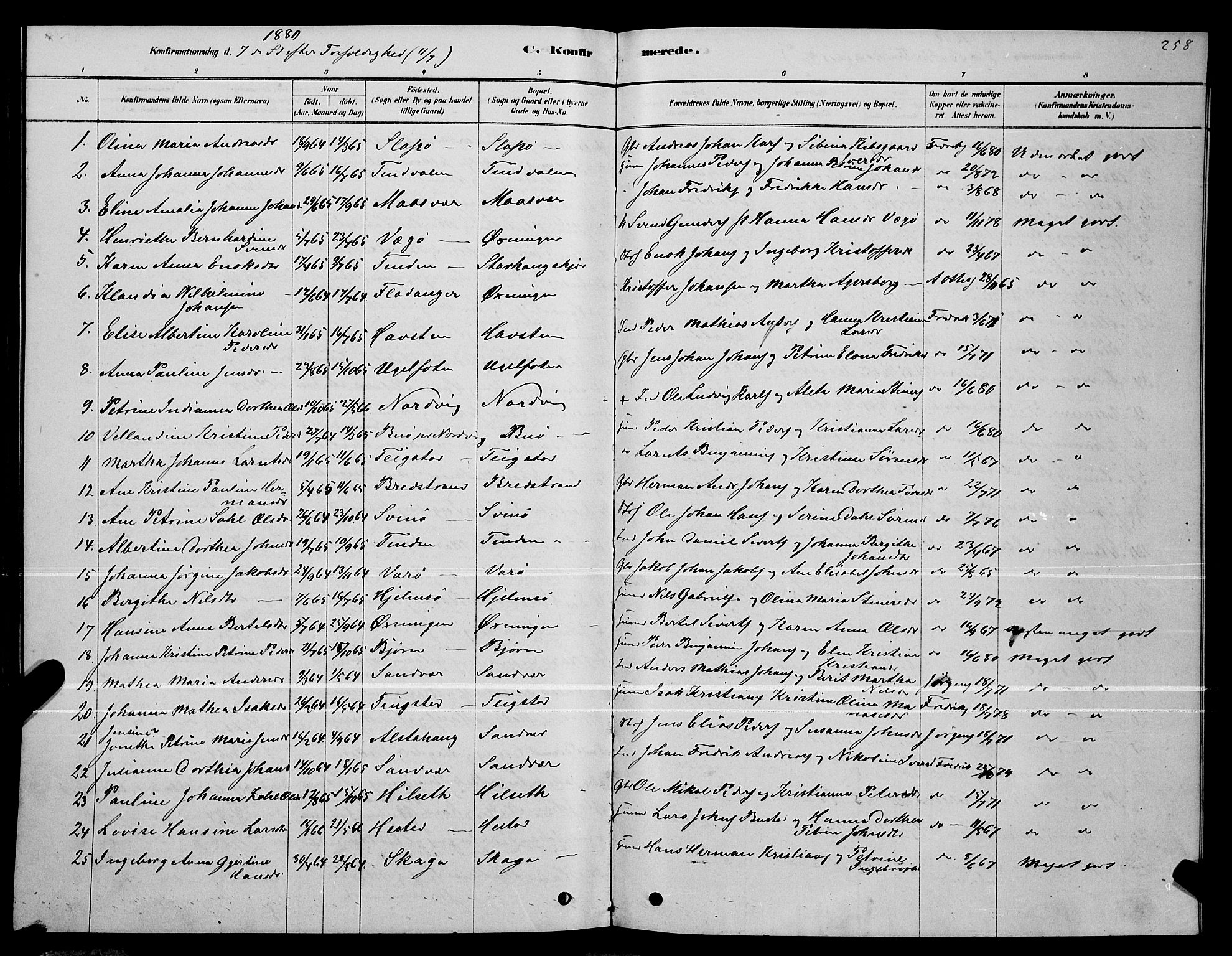 Ministerialprotokoller, klokkerbøker og fødselsregistre - Nordland, AV/SAT-A-1459/834/L0513: Parish register (copy) no. 834C04, 1877-1892, p. 258