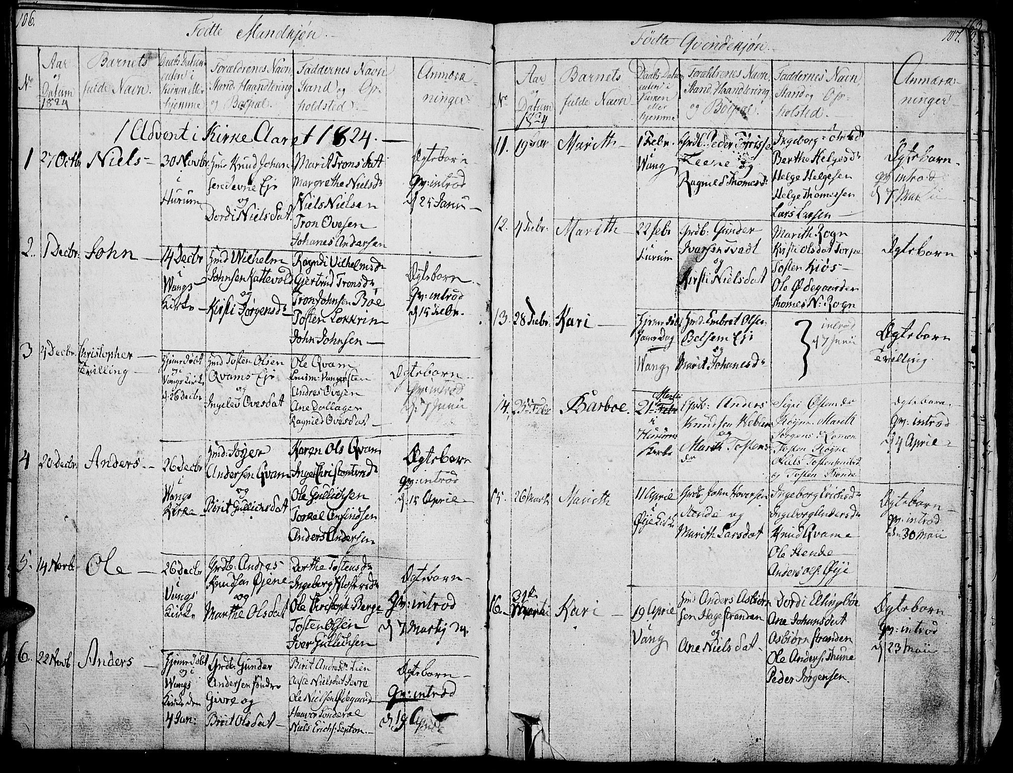 Vang prestekontor, Valdres, SAH/PREST-140/H/Ha/L0003: Parish register (official) no. 3, 1809-1831, p. 106-107
