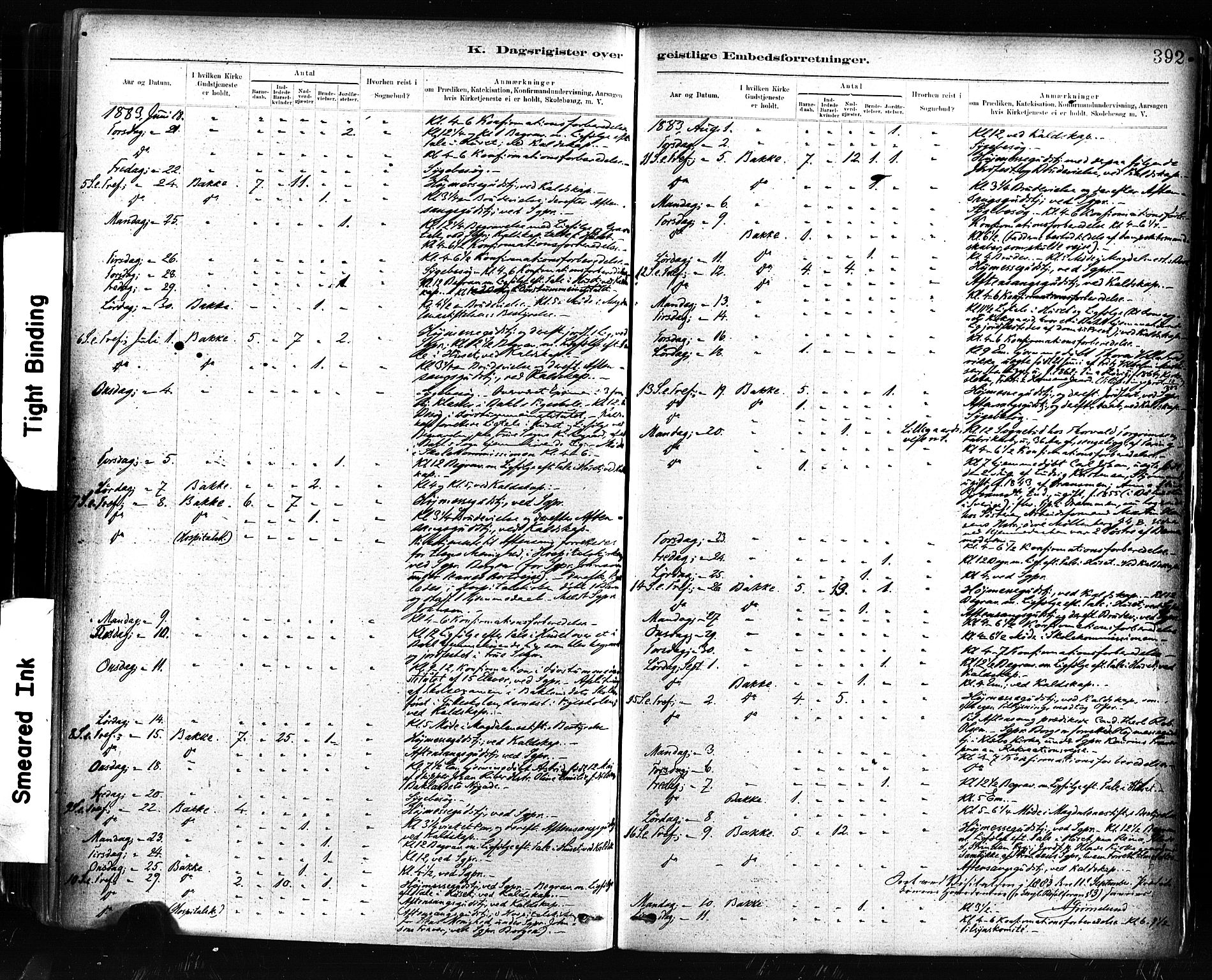 Ministerialprotokoller, klokkerbøker og fødselsregistre - Sør-Trøndelag, AV/SAT-A-1456/604/L0189: Parish register (official) no. 604A10, 1878-1892, p. 393