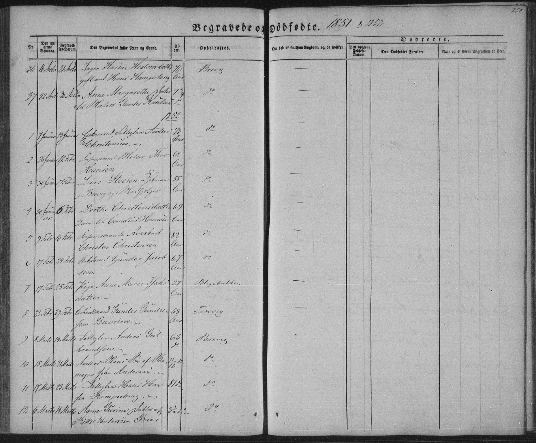 Brevik kirkebøker, SAKO/A-255/F/Fa/L0005: Parish register (official) no. 5, 1847-1865, p. 250