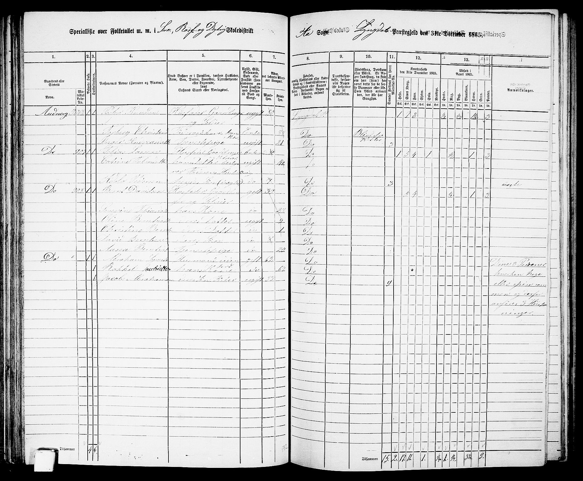 RA, 1865 census for Lyngdal, 1865, p. 105